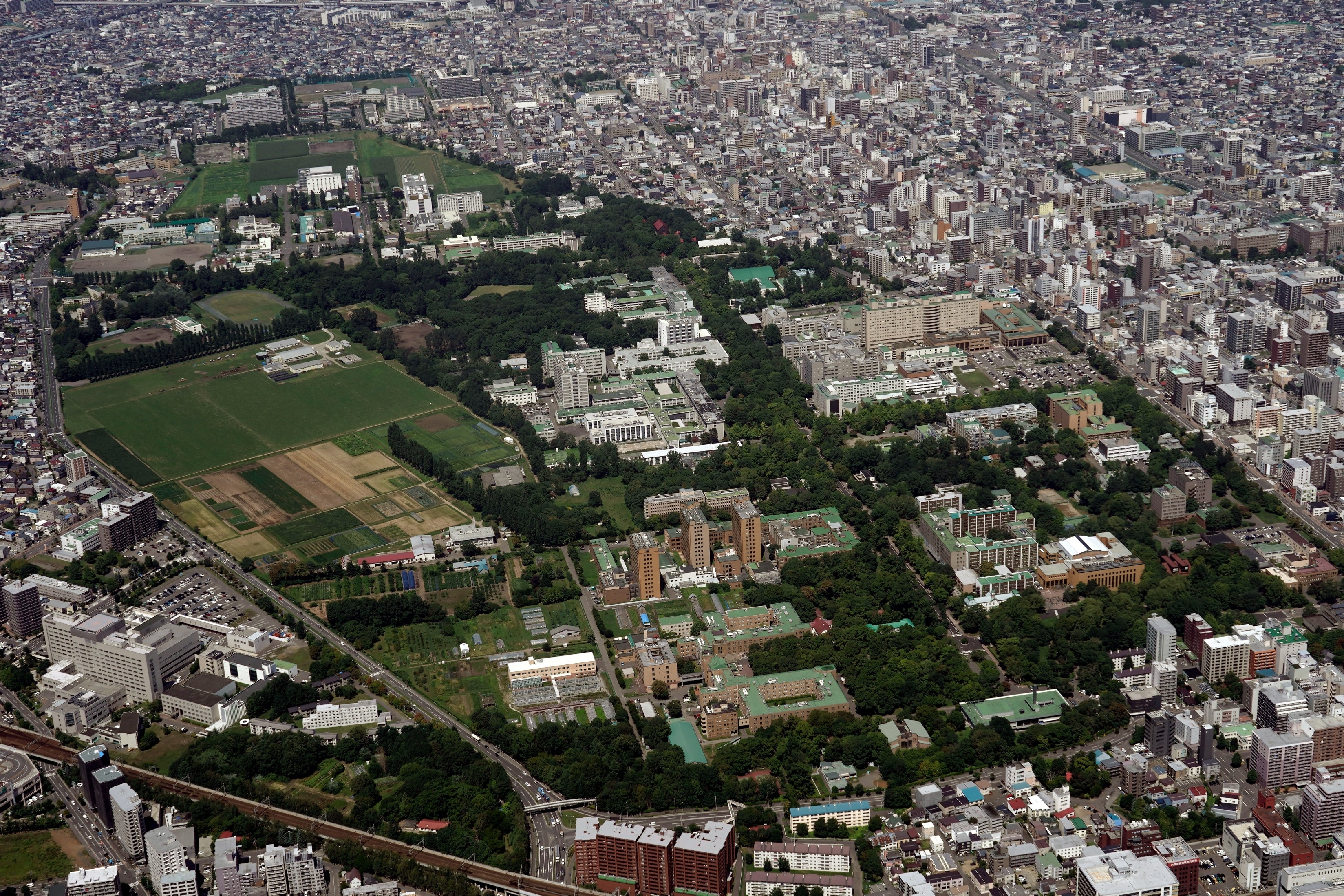 北海道大学（時事通信フォト）
