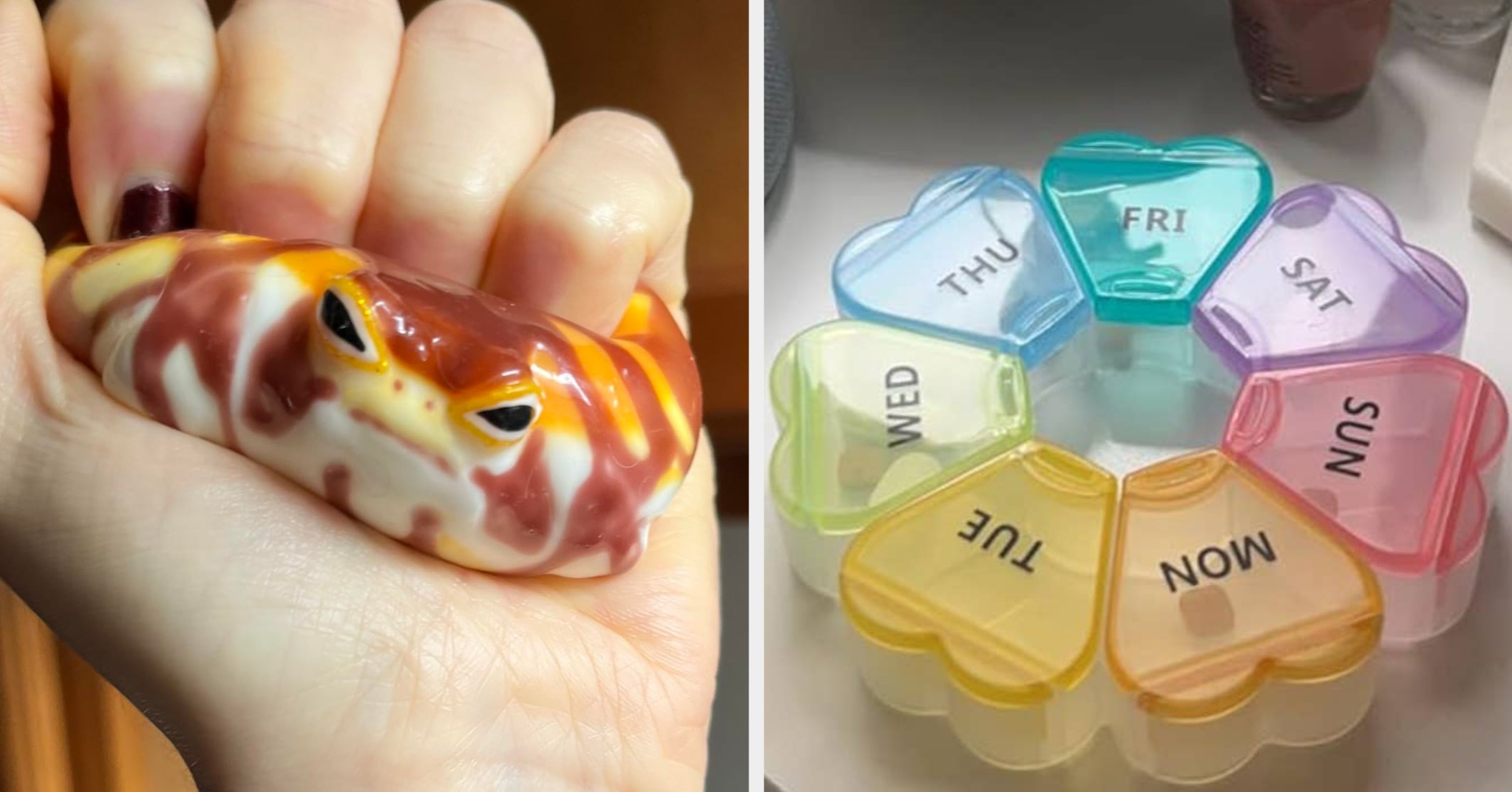 39 Tiny Delights To Make Your Tuesday More Exciting