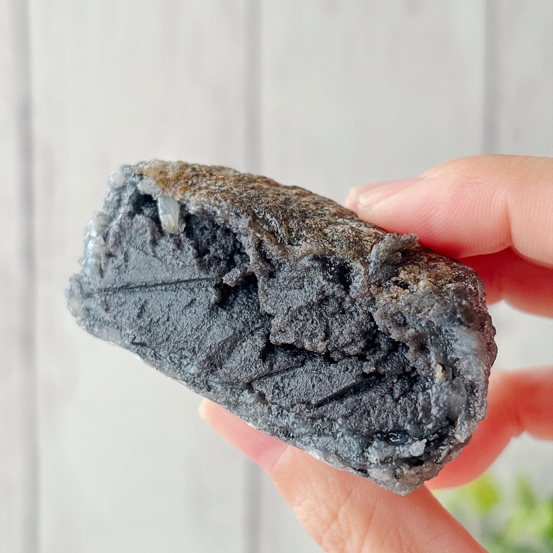 シャトレーゼの「粗搗き大福 黒胡麻」手で持ち上げている様子。