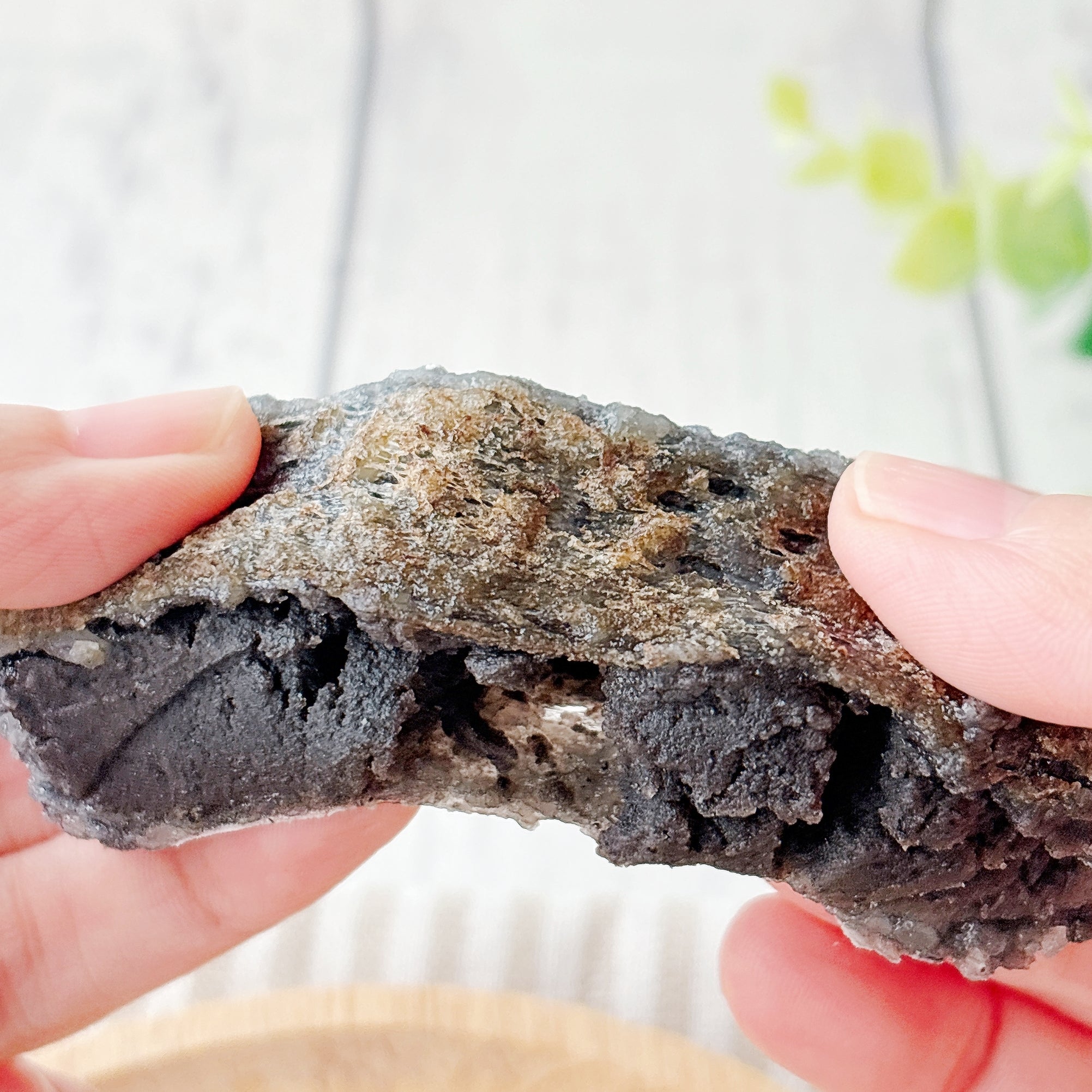 シャトレーゼの「粗搗き大福 黒胡麻」手でちぎろうとしている様子。