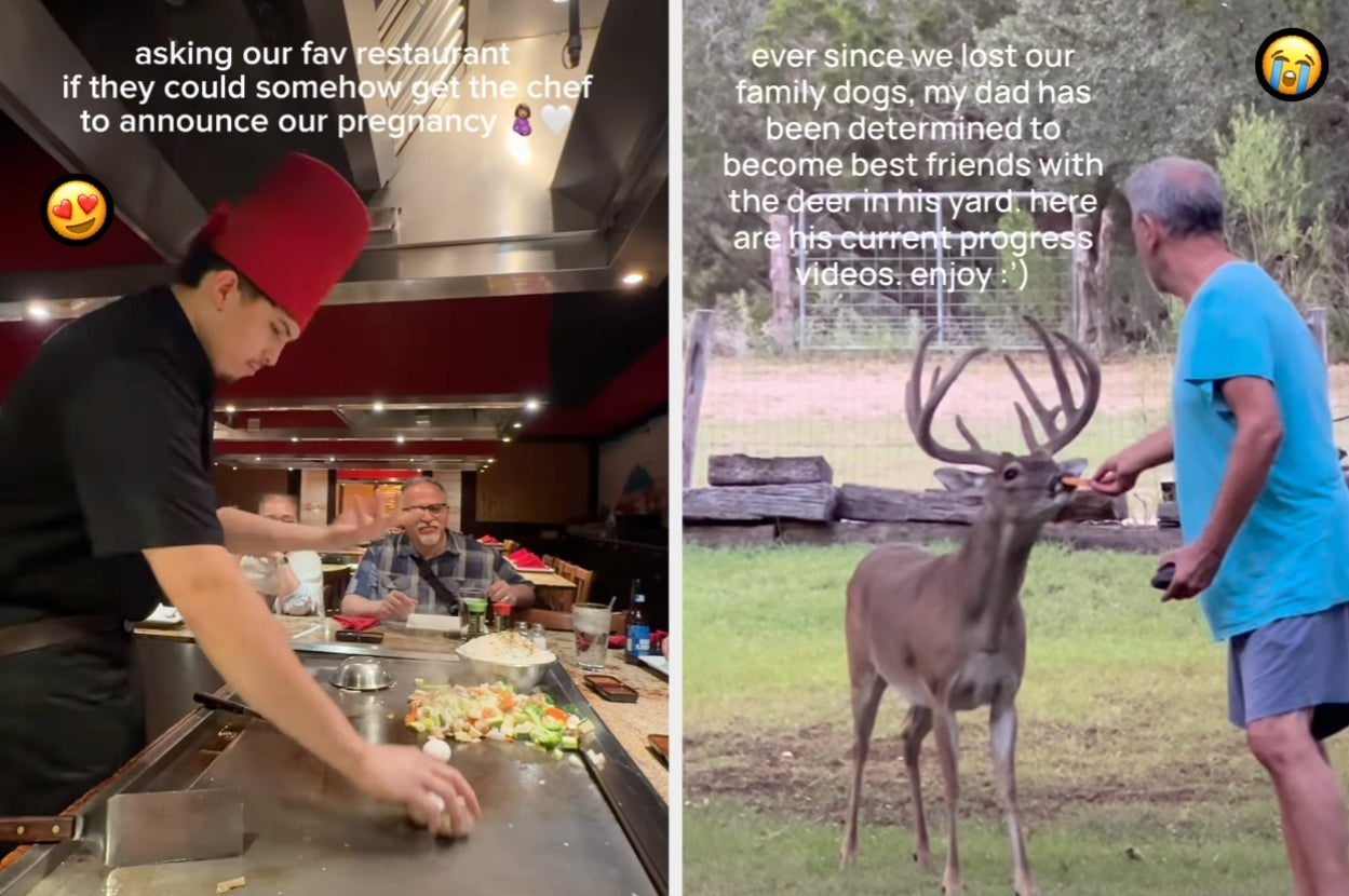 Left: Chef at hibachi restaurant cooks for smiling diners. Right: Man feeds deer by hand in backyard