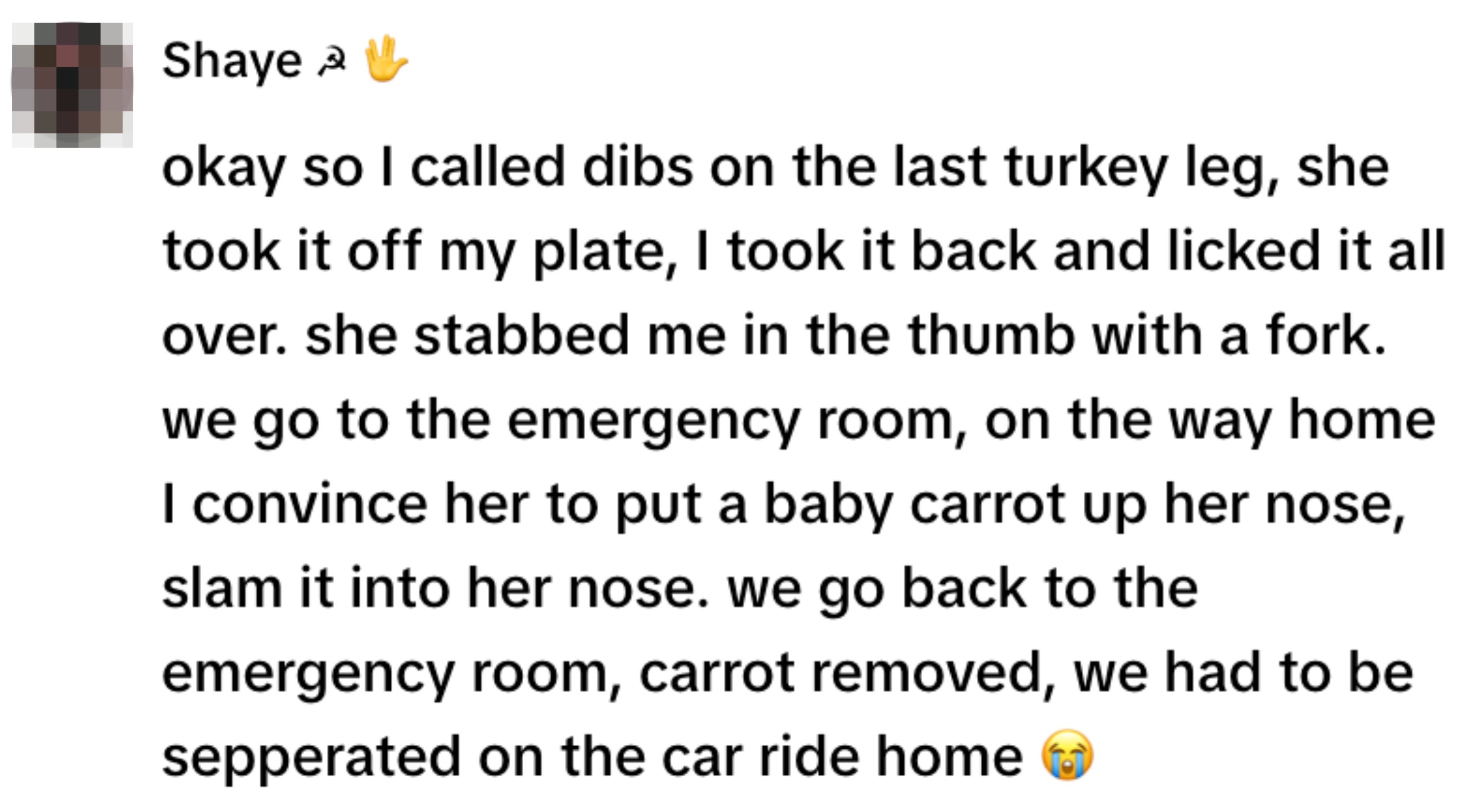 Text post humorously detailing a sibling dispute over a turkey leg, ending with visits to the emergency room