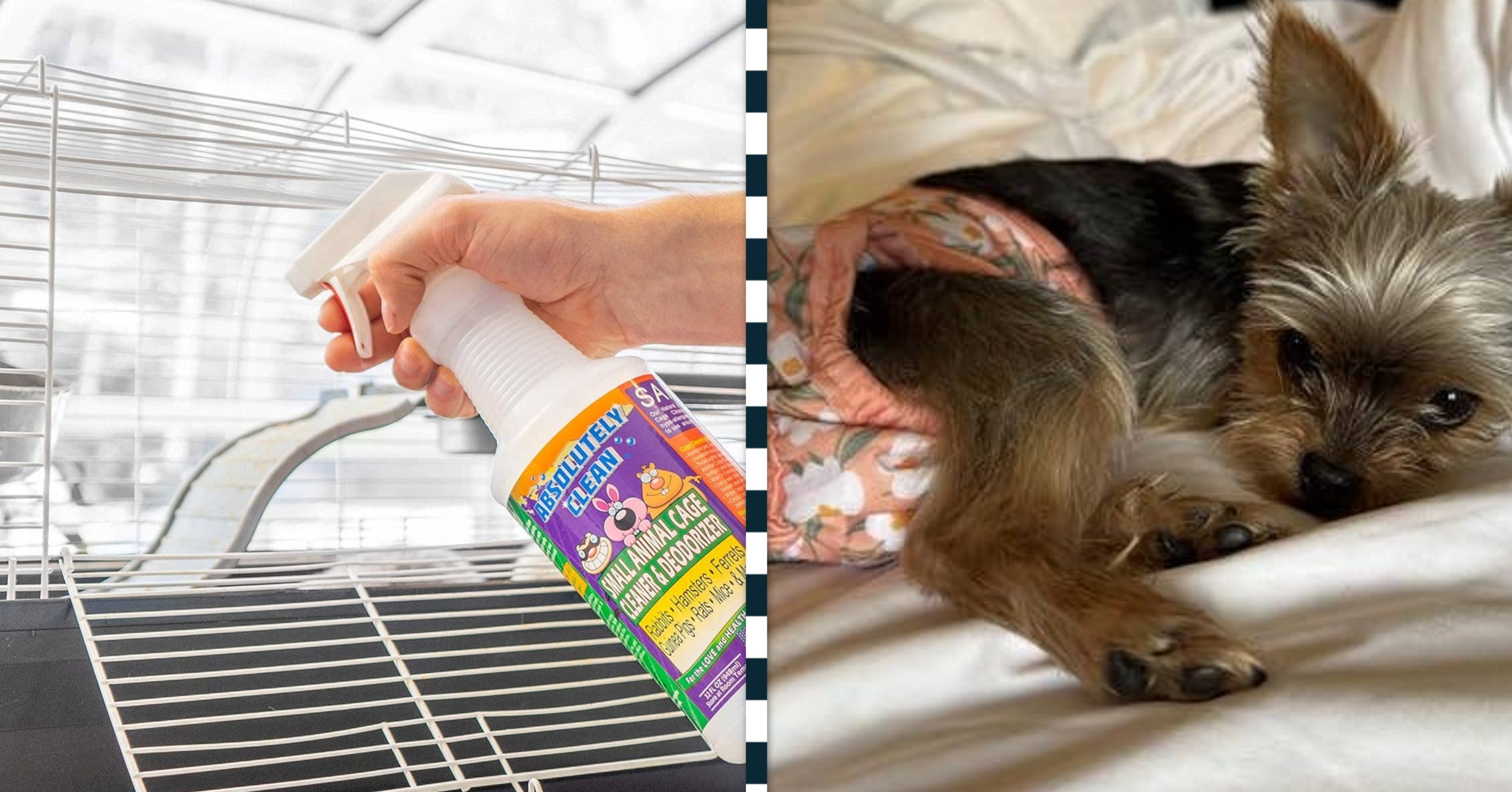 24 Products That’ll Help Stop Pet Odor In Its Tracks