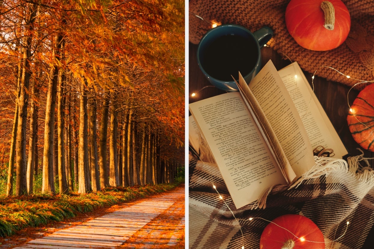 Left: Tree-lined path with fallen leaves. Right: Open book with pumpkins, string lights, and a cup on a blanket. Cozy autumn vibe