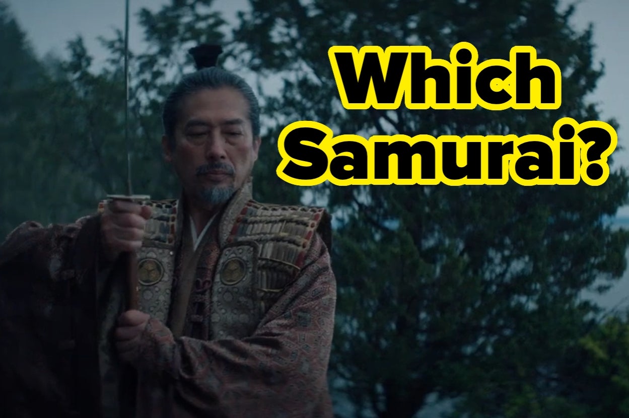Samurai holding a sword with the text "Which Samurai?" overlaid