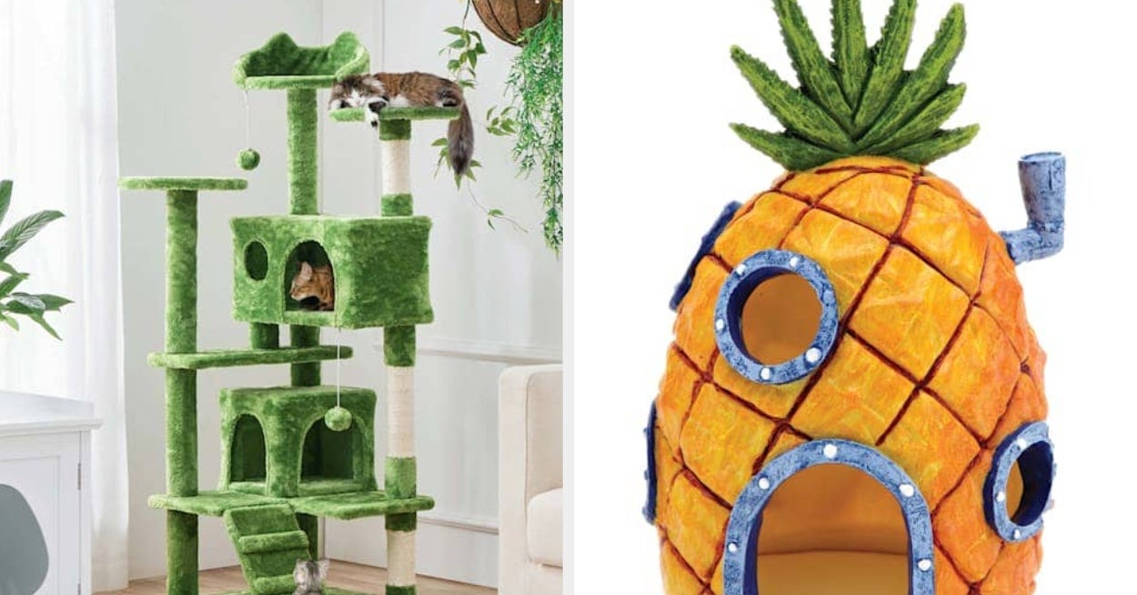22 Products From Petco So Damn Good, They’ll Have You Mourning Your Life *Before* You Found Them