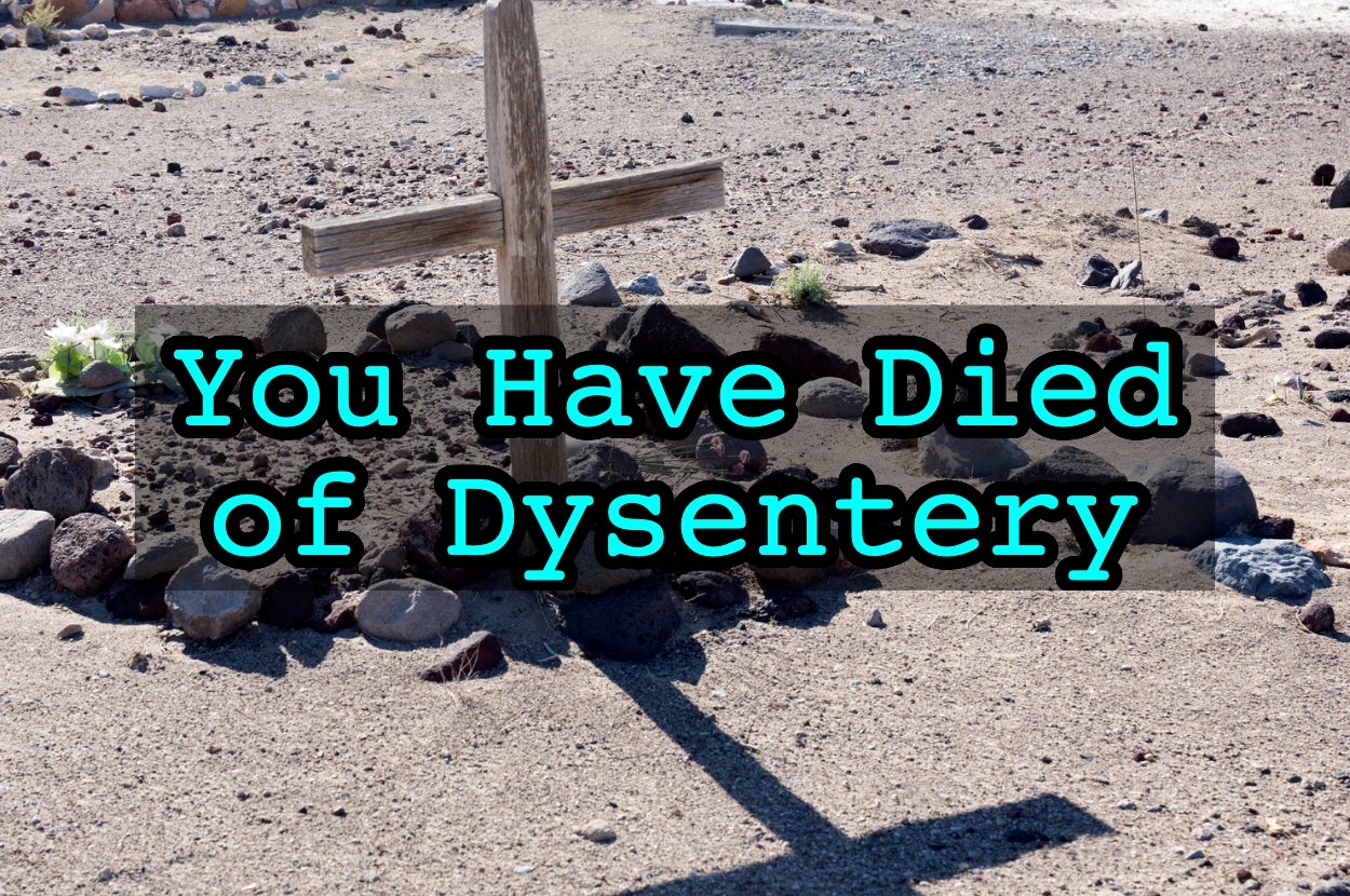 A wooden cross stands on barren ground with the text "You Have Died of Dysentery" overlaid on the image