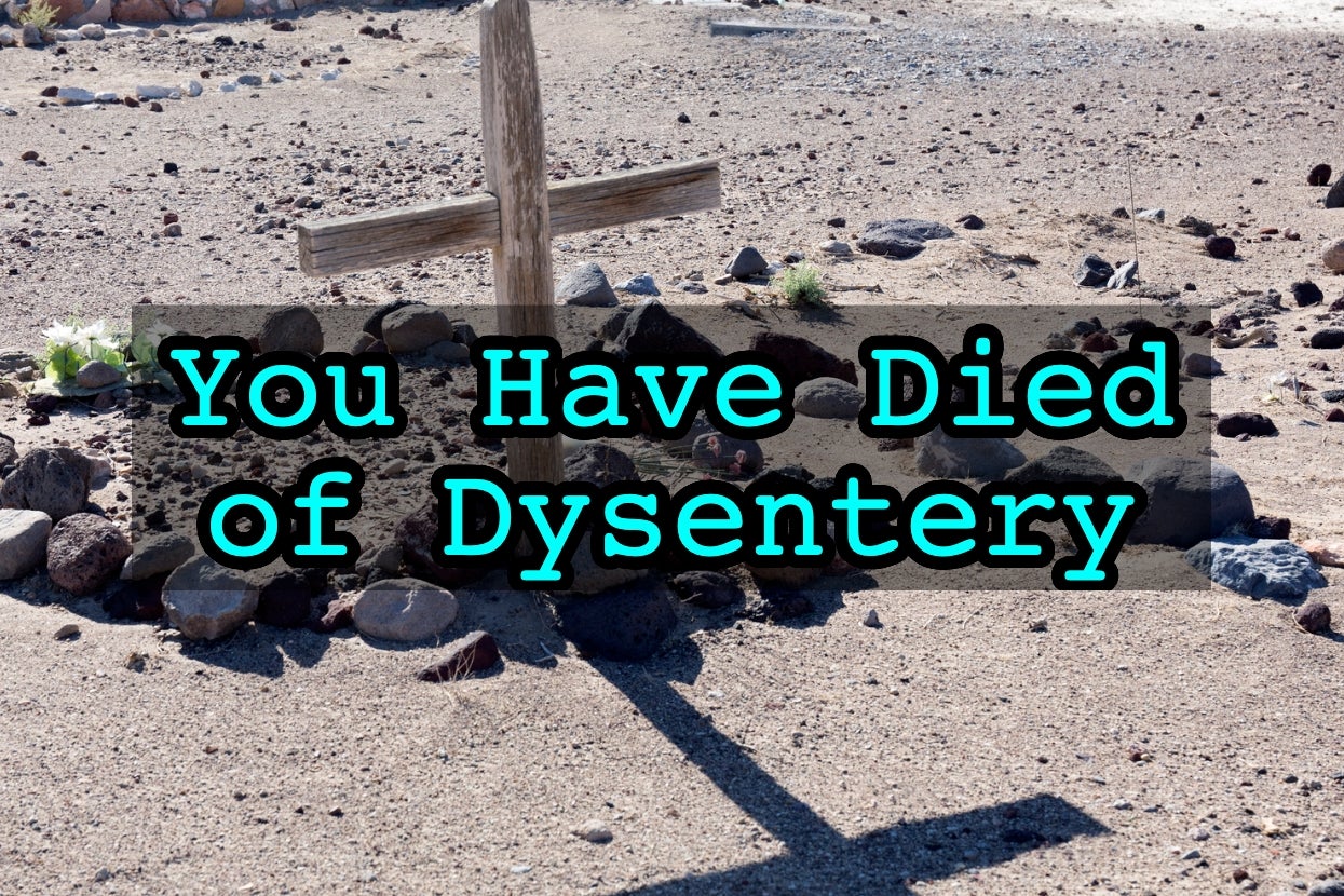 A wooden cross stands on barren ground with the text "You Have Died of Dysentery" overlaid on the image