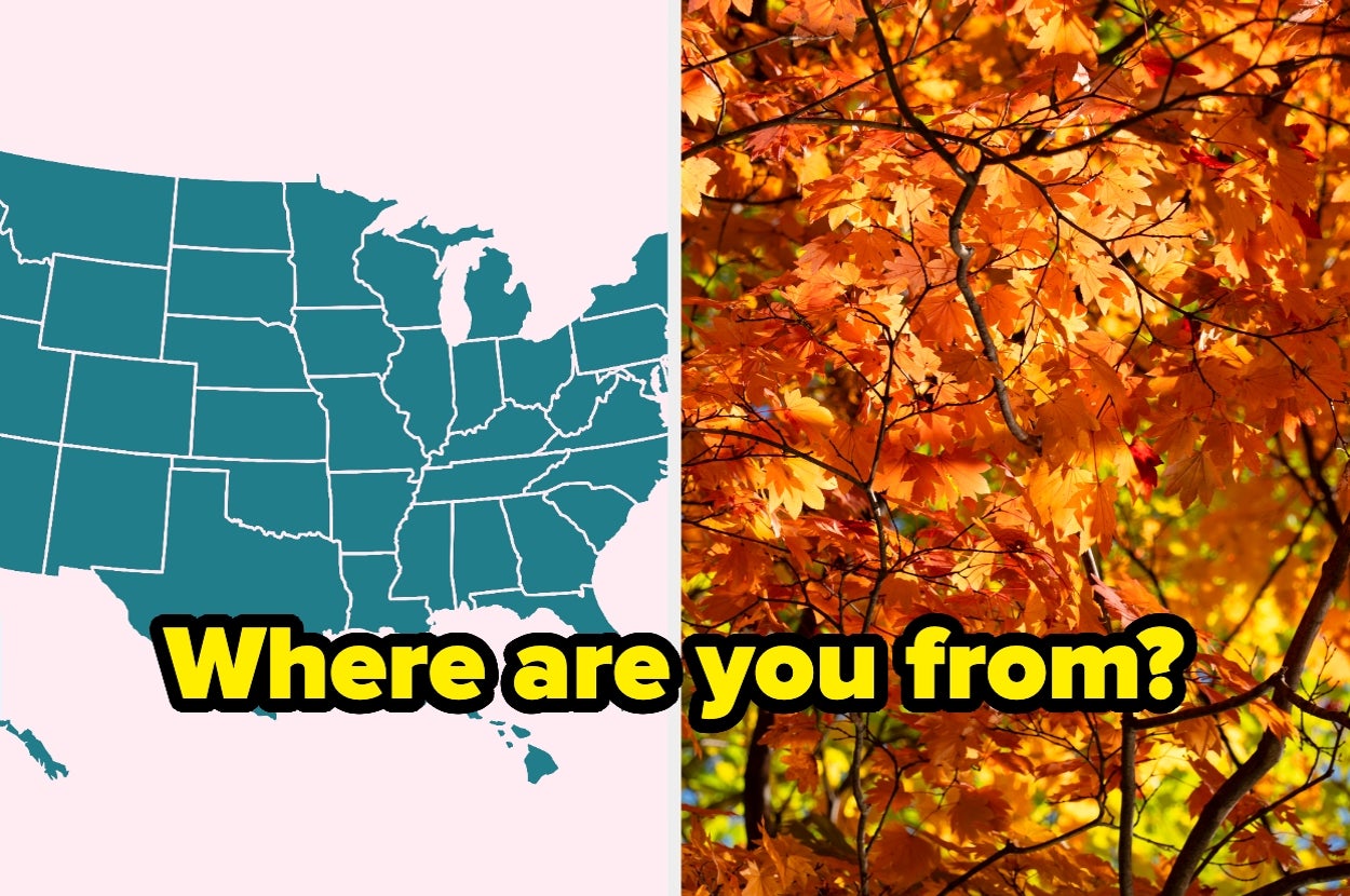 Plan Your Perfect Fall Day, And I'll Guess What Region Of The US You're From