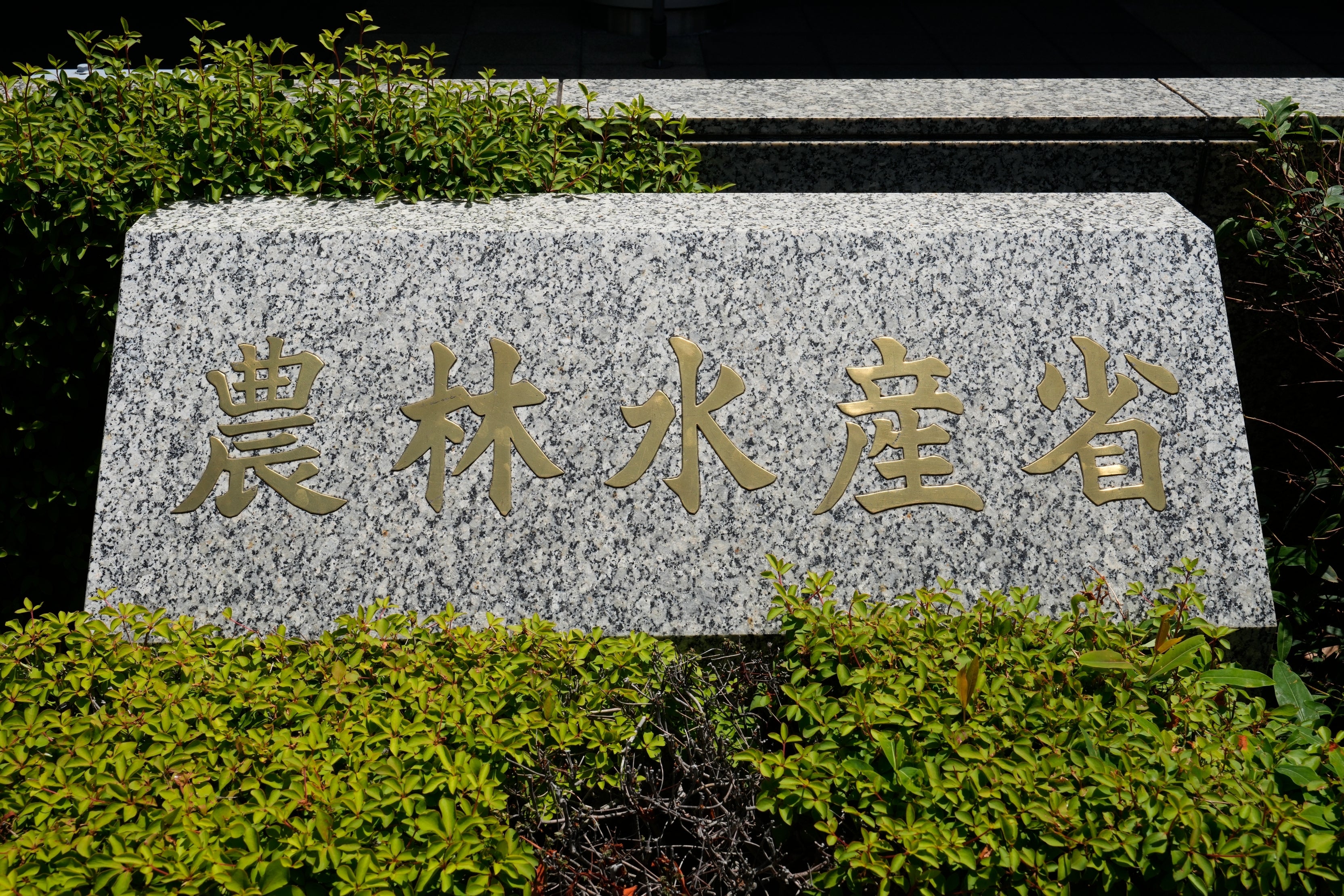 農林水産省（時事通信フォト）