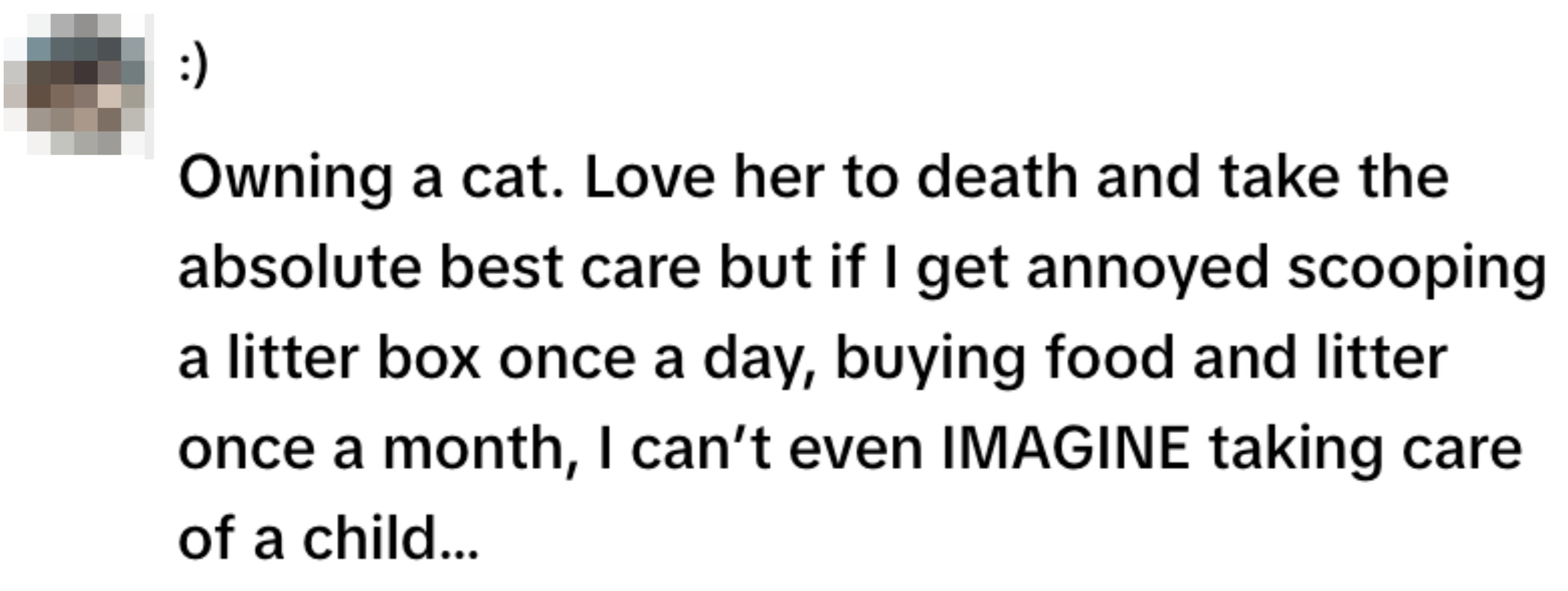 Image of text with a smiley face icon. It humorously compares owning a cat to the challenges of having a child