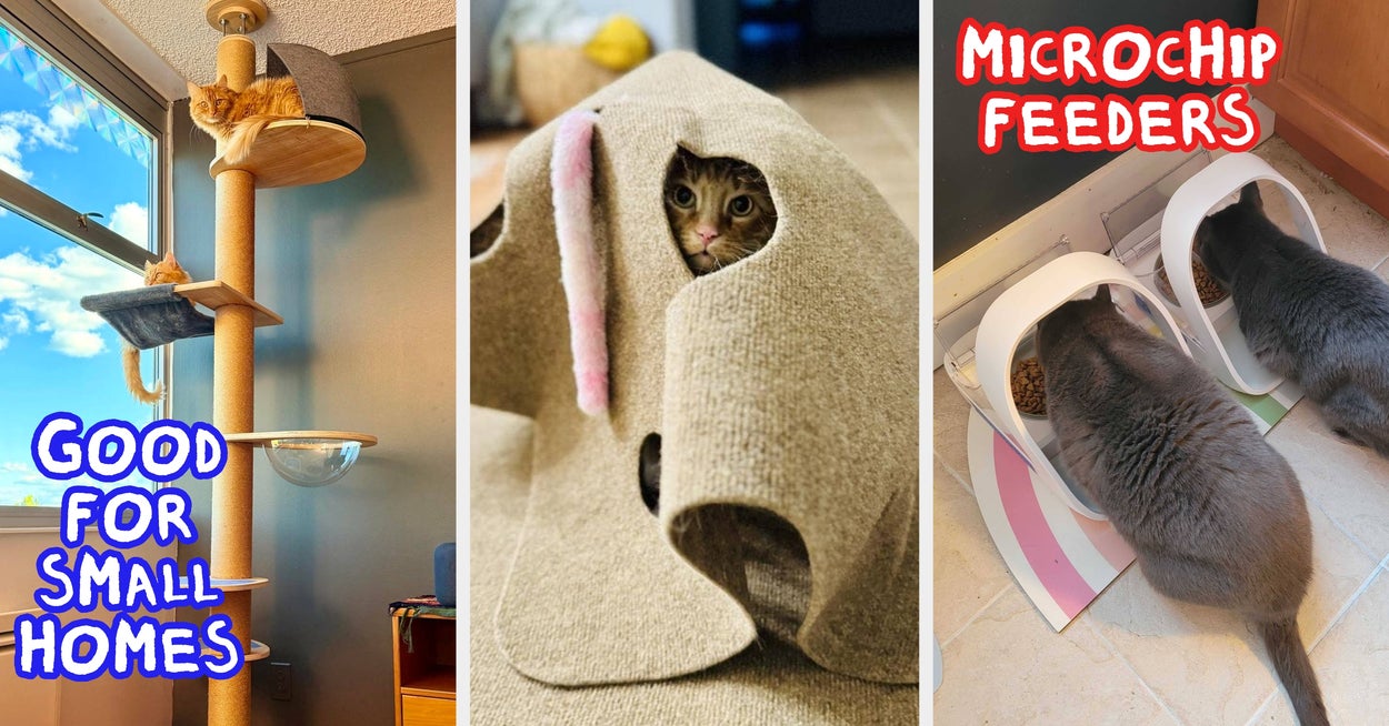 37 Must-Have Products For Multi-Cat Households