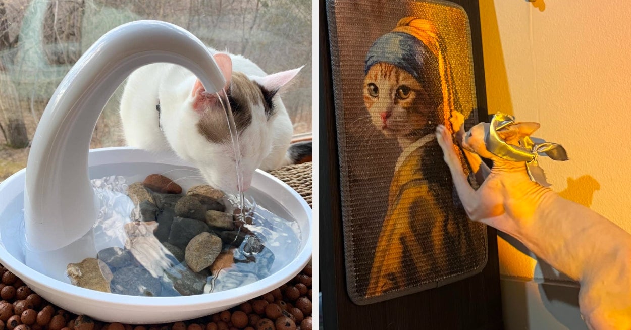 If You've Got At Least Two Cats Running Around Your Home, Check Out These 37 Useful Products