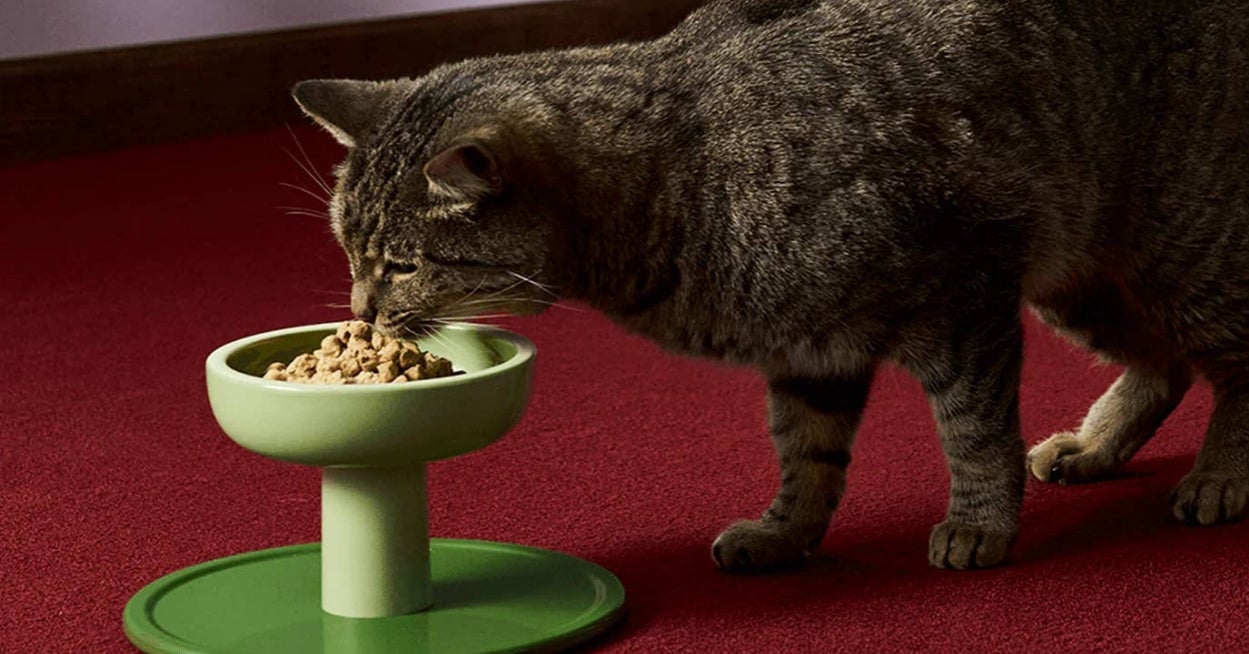 25 Products To Prove That Having A Cat Does *Not* Have To Mess With Your Home's Aesthetic