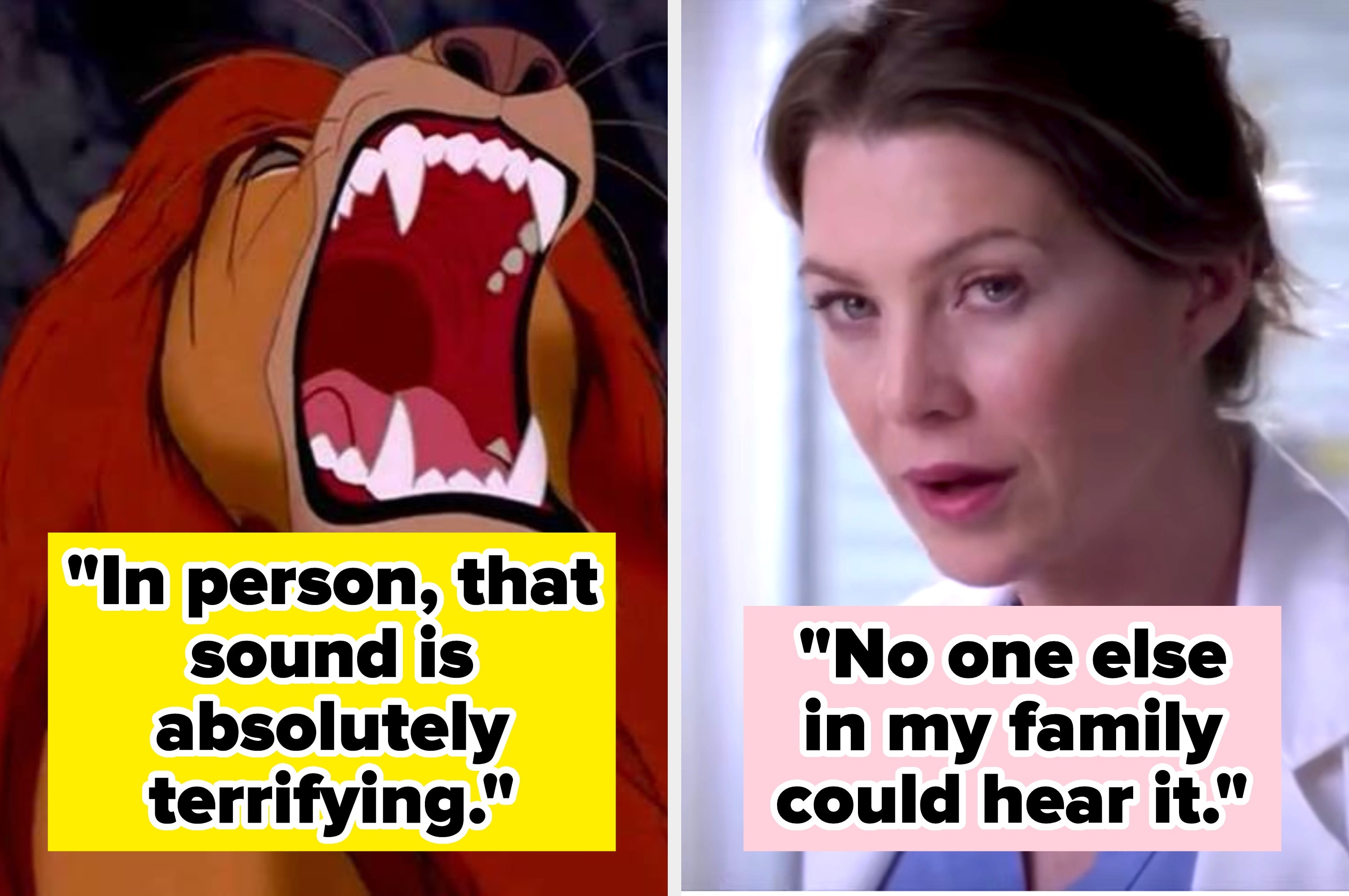Split image: Left shows an animated lion roaring. Right shows a shocked person, with quotes about the terrifying sound