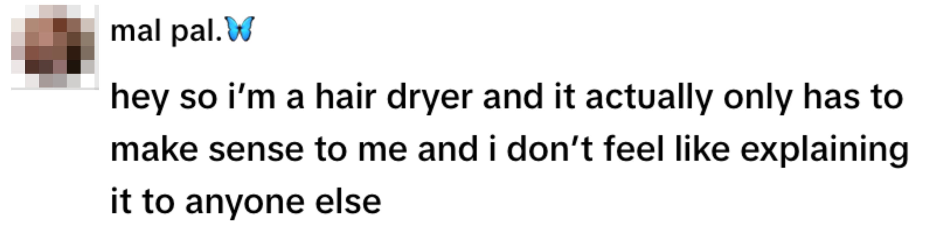 Profile picture comment with a humorous text saying they identify as a hair dryer and don't need to explain it to others