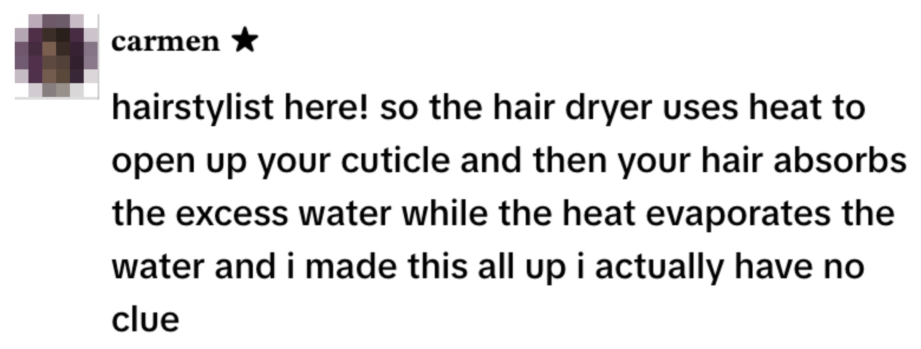  A hairstylist jokingly explains hair drying, admitting to making up the explanation