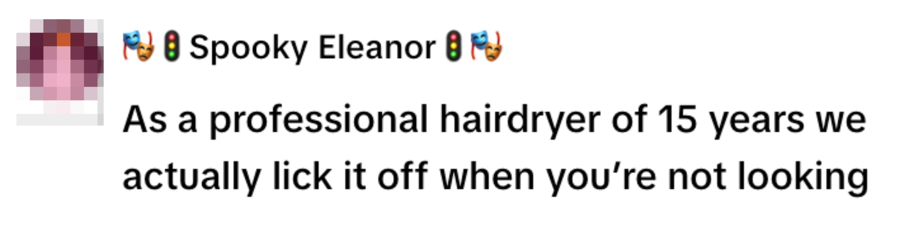 "As a professional hairdryer of 15 years we actually lick it off when you’re not looking."