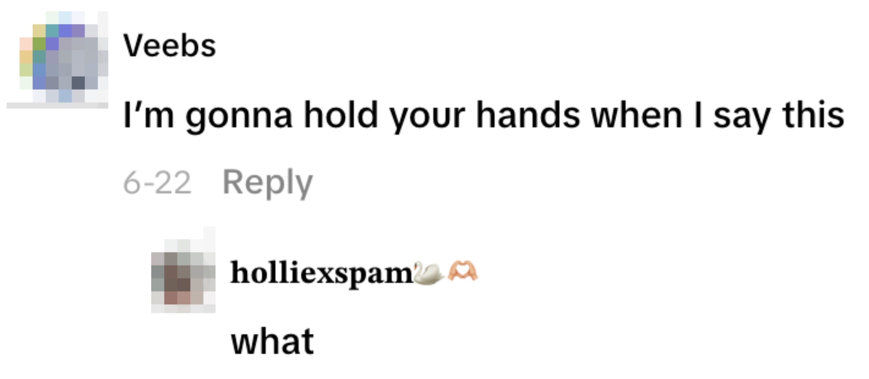 The image shows a comment exchange. The first comment says, "I'm gonna hold your hands when I say this," followed by a reply saying, "what."