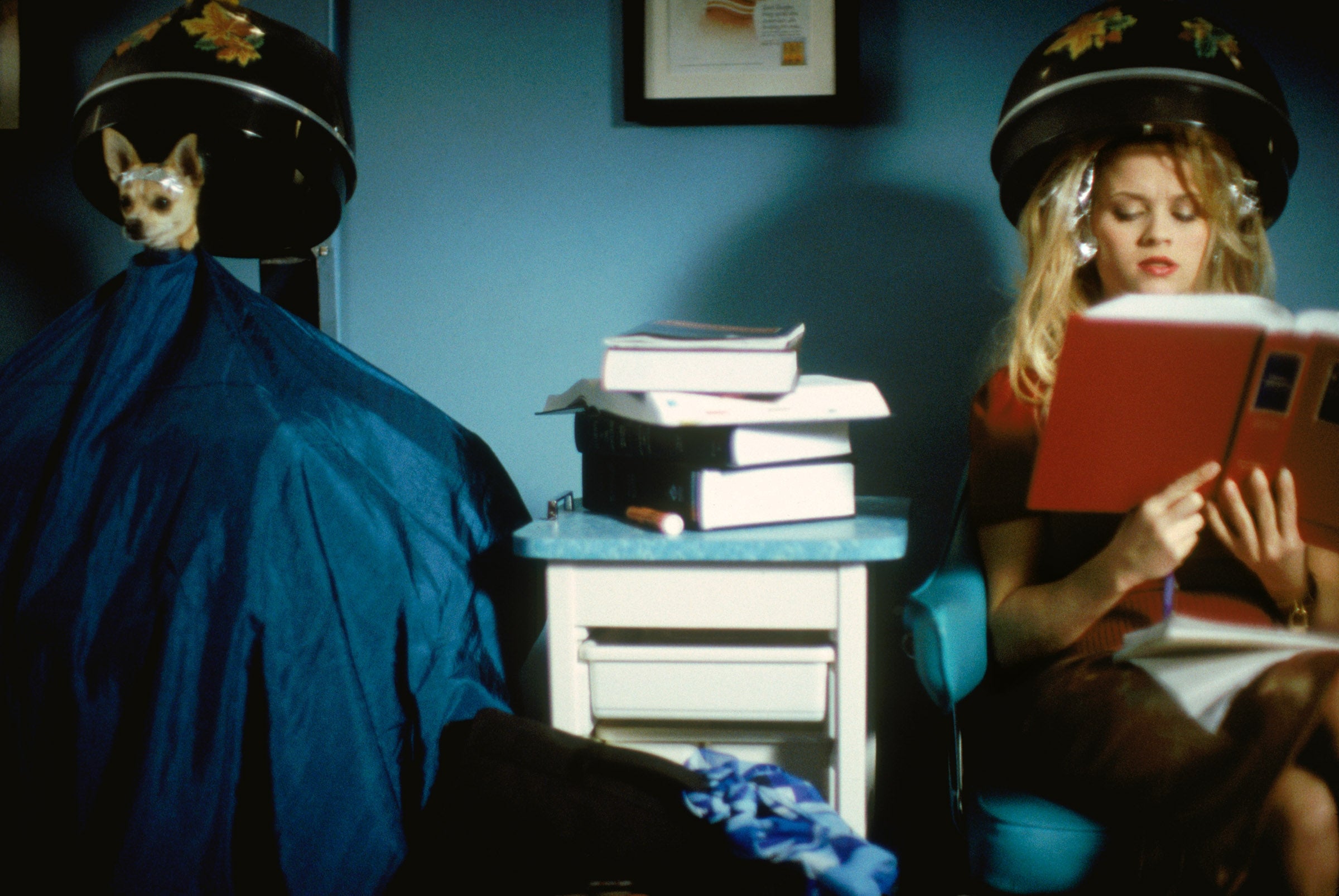 Woman reading a book under a salon hairdryer with a small dog beside her, also under a hairdryer. Stacked books are on a table between them