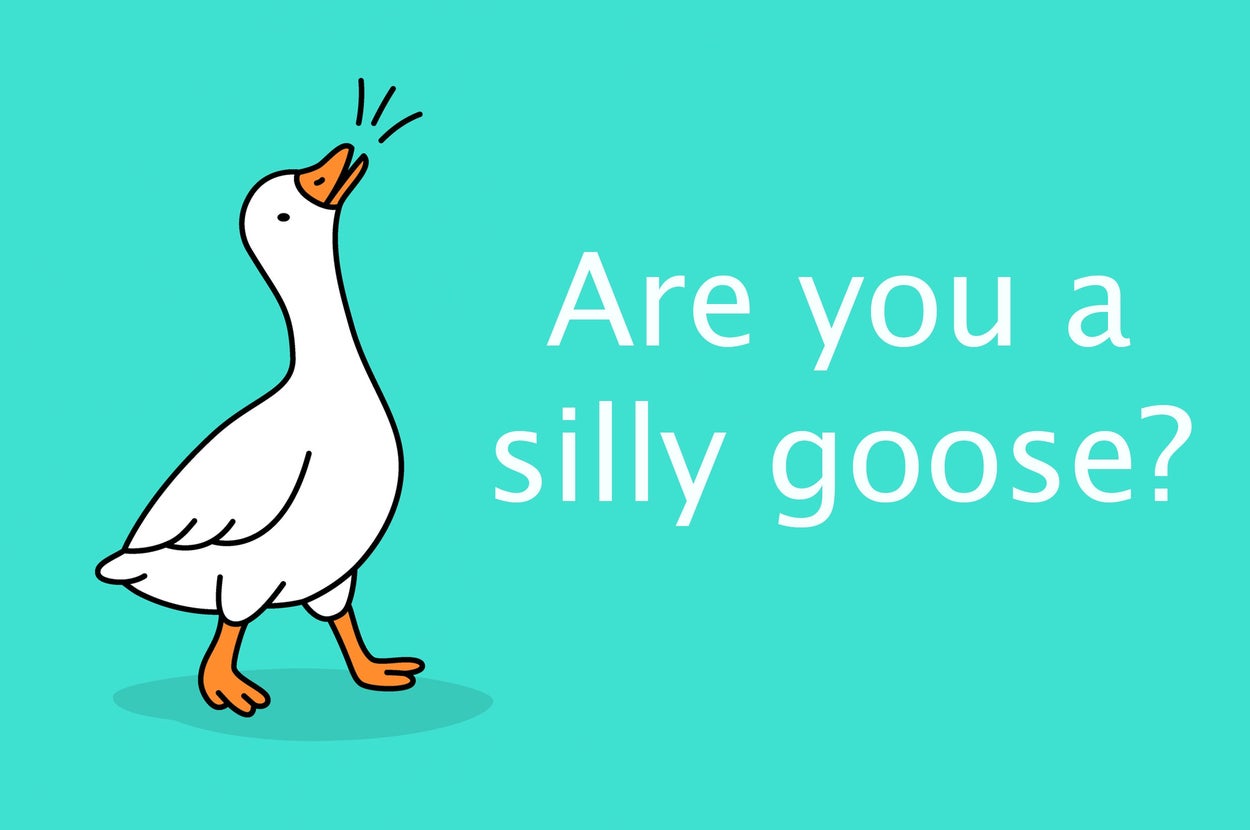 What % Silly Goose Are You?