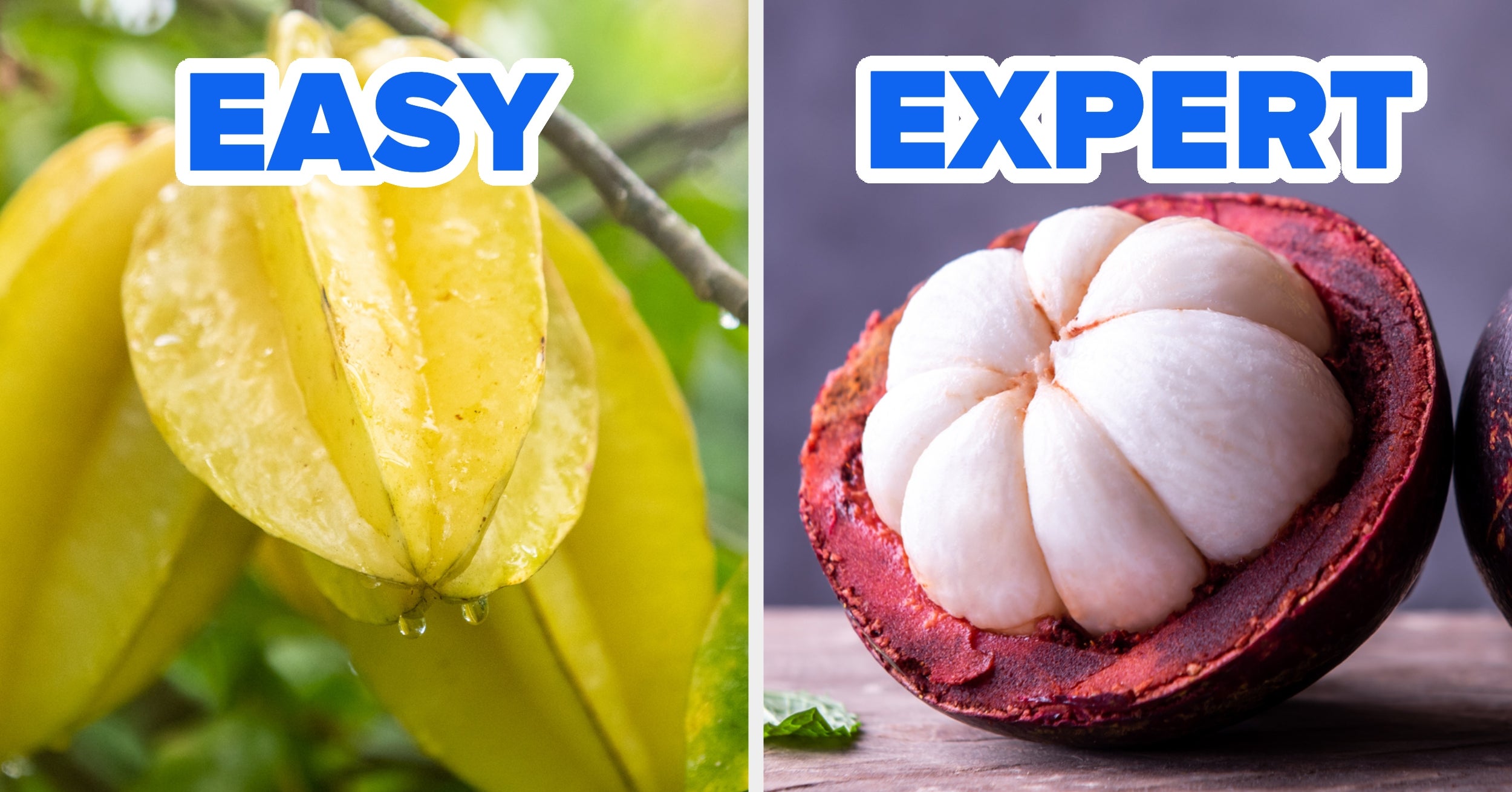 Question 1 On This Exotic Fruit Quiz Is Very Easy, But Once You Get To Around Question 15, You'll Be SOL