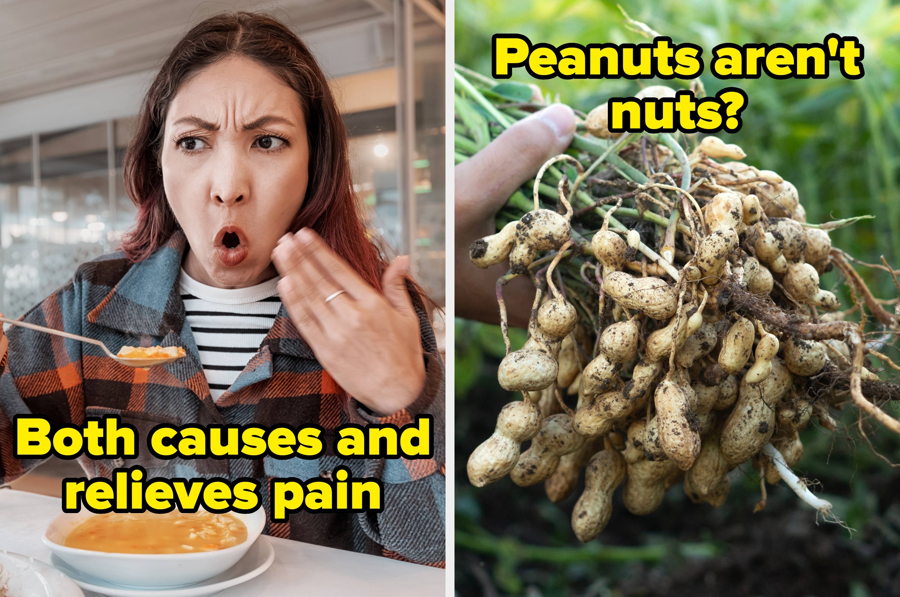 buzzfeed.com - Gabrielle LaFrank - 17 Of The Weirdest Food Facts That'll Stick In Your Brain For Literal Years To Come