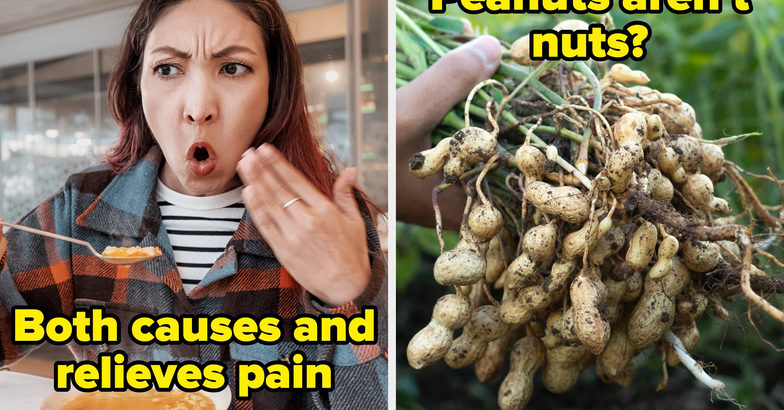 17 Of The Weirdest Food Facts That'll Stick In Your Brain For Literal Years To Come