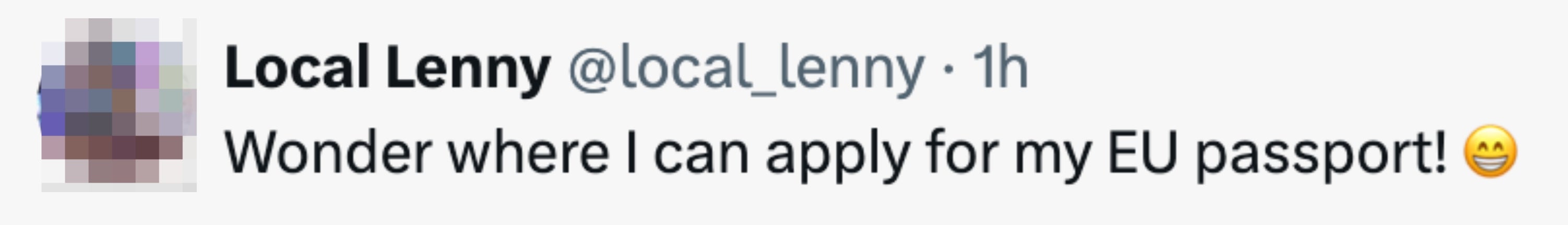 En tweet fra brukeren Local Lenny lyder: "Lurer på hvor jeg kan søke om EU-passet mitt!" med en smilende emoji