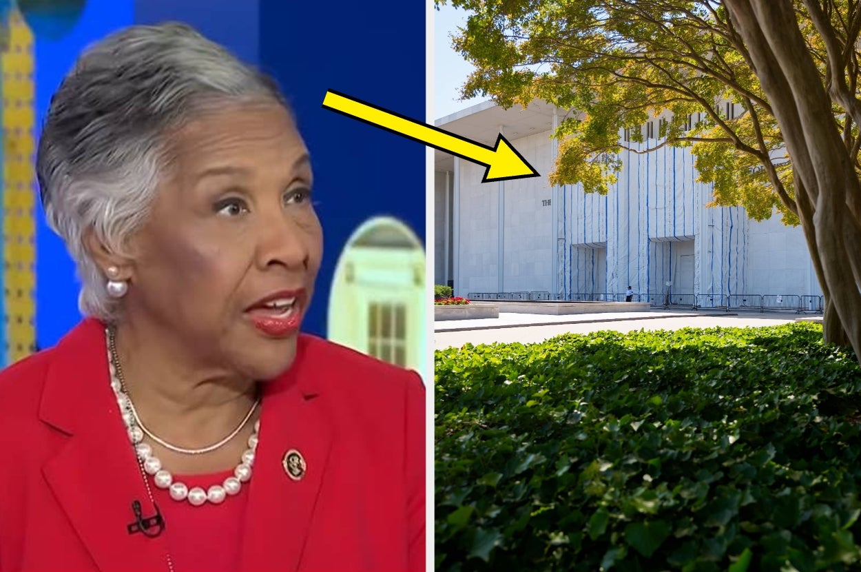 The Internet Has THOUGHTS About The Absolute SCORCHING Burns Representative Joyce Beatty Delivered Directly To Donald Trump