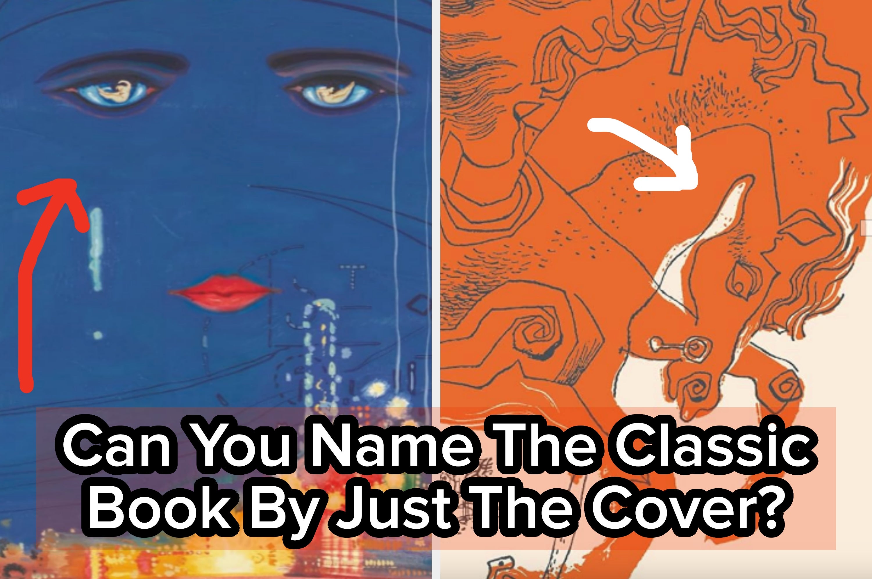 Two artistic book covers: One with a face and cityscape, the other with an abstract horse drawing