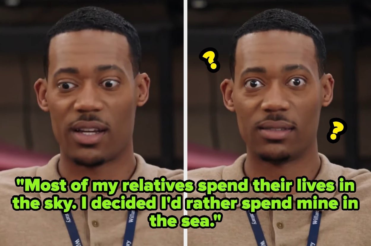 A person looks puzzled in two images with text: "Most of my relatives spend their lives in the sky. I decided I'd rather spend mine in the sea."