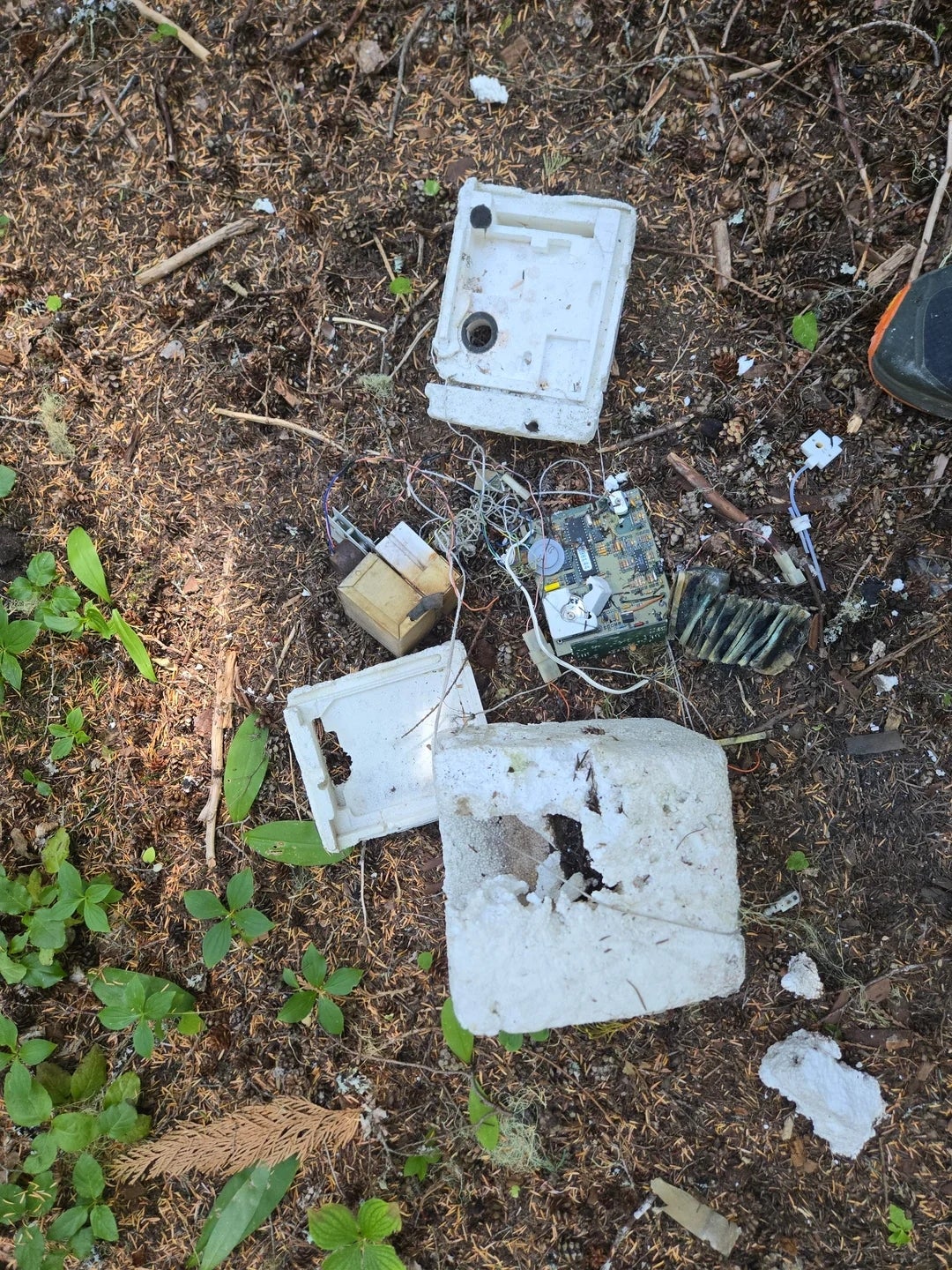Broken electronic components scattered on forest floor, surrounded by leaves and dirt