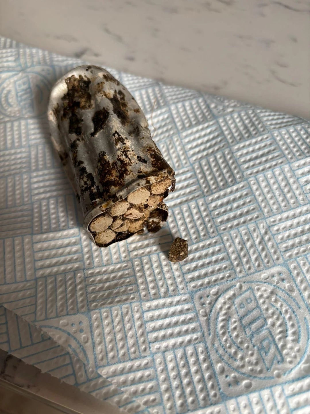 Piece of material filled with small wooden pellets, laying on a paper towel, resembling a section of tree branch or root