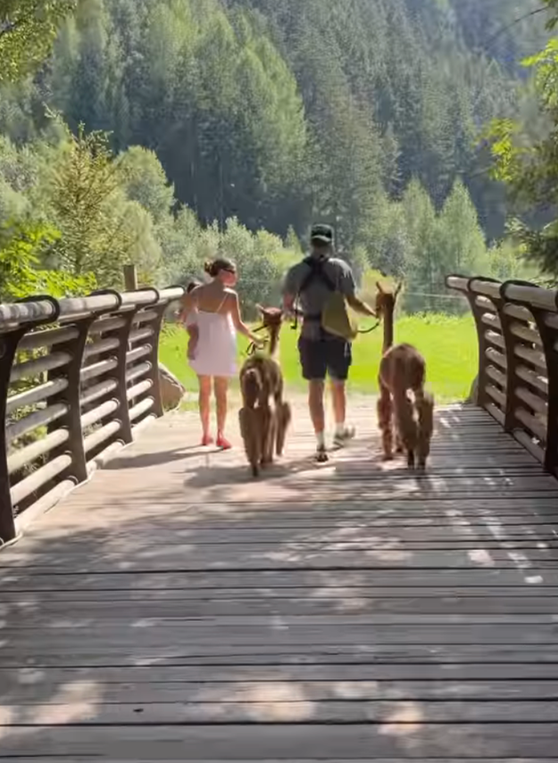 Millie holding her daughter on her hip, walking next to Jake with a baby carrier strapped to his chest