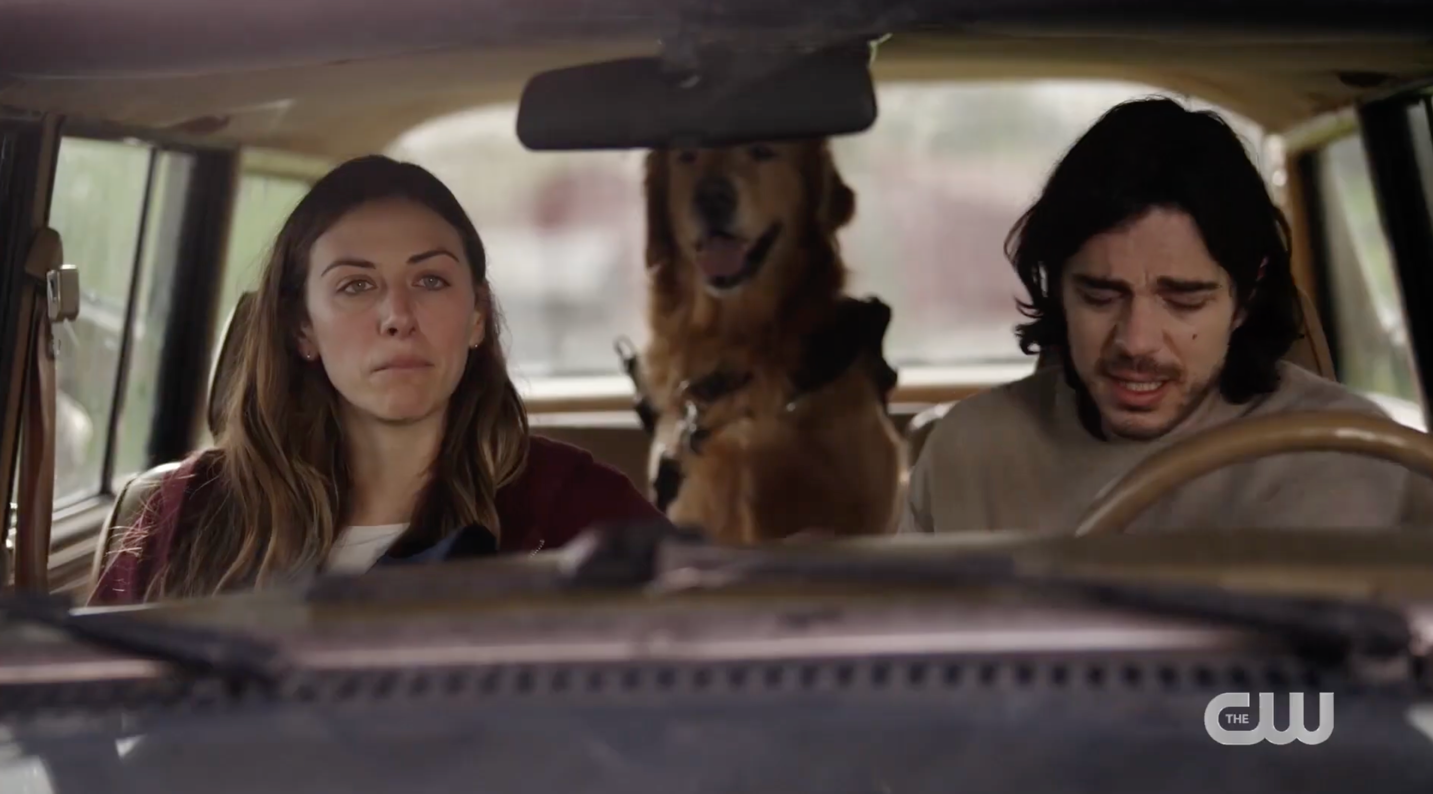 Two people and a dog sit in a car. The woman appears emotional while the man looks concerned. The scene suggests a tense or dramatic moment