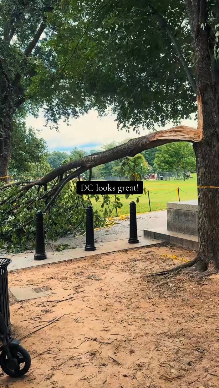 Tree branch broken over a path in a park, text reads "DC looks great!"