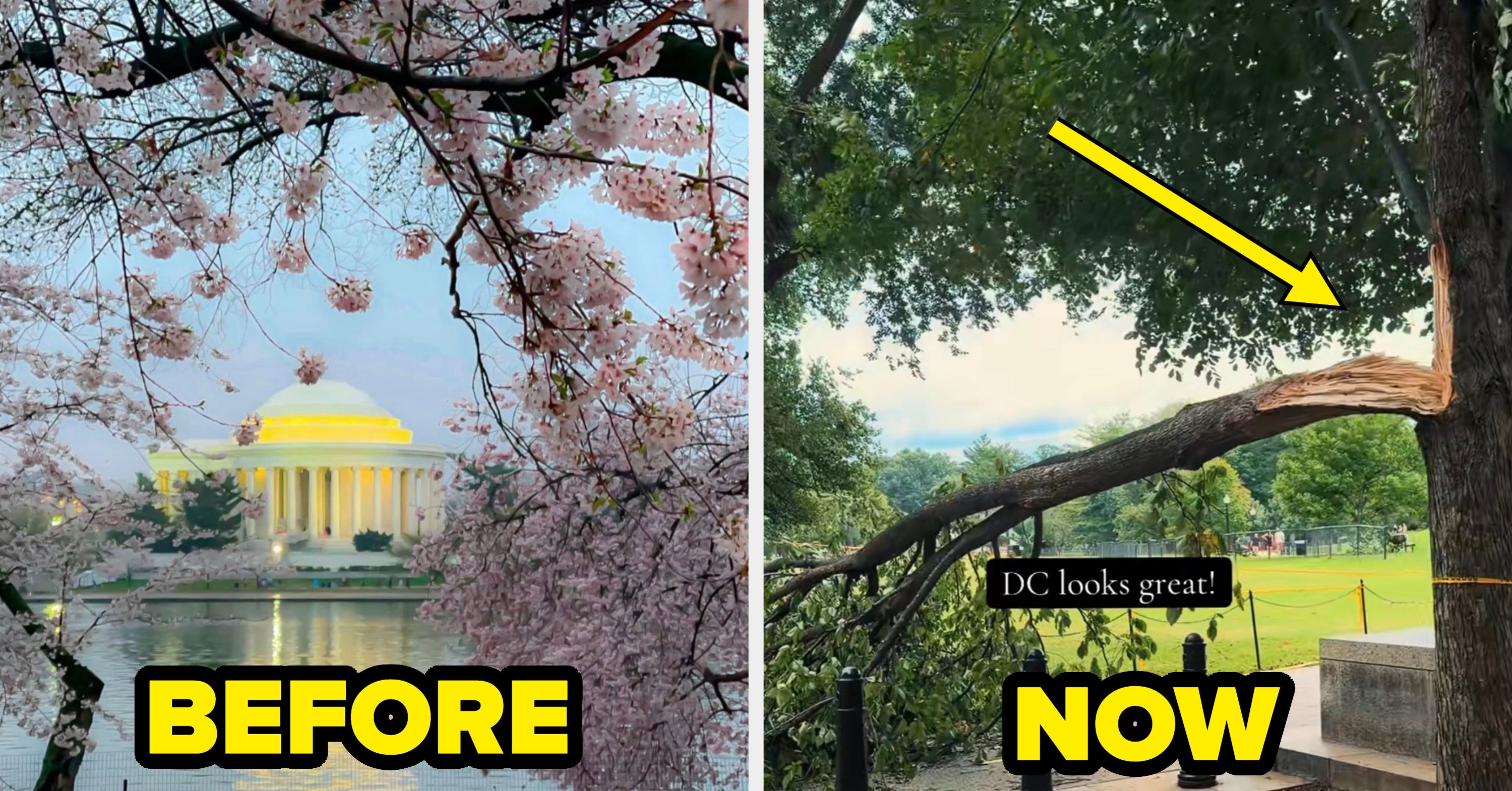Viral TikTok Showing What DC Looks Like Under Trump 2.0