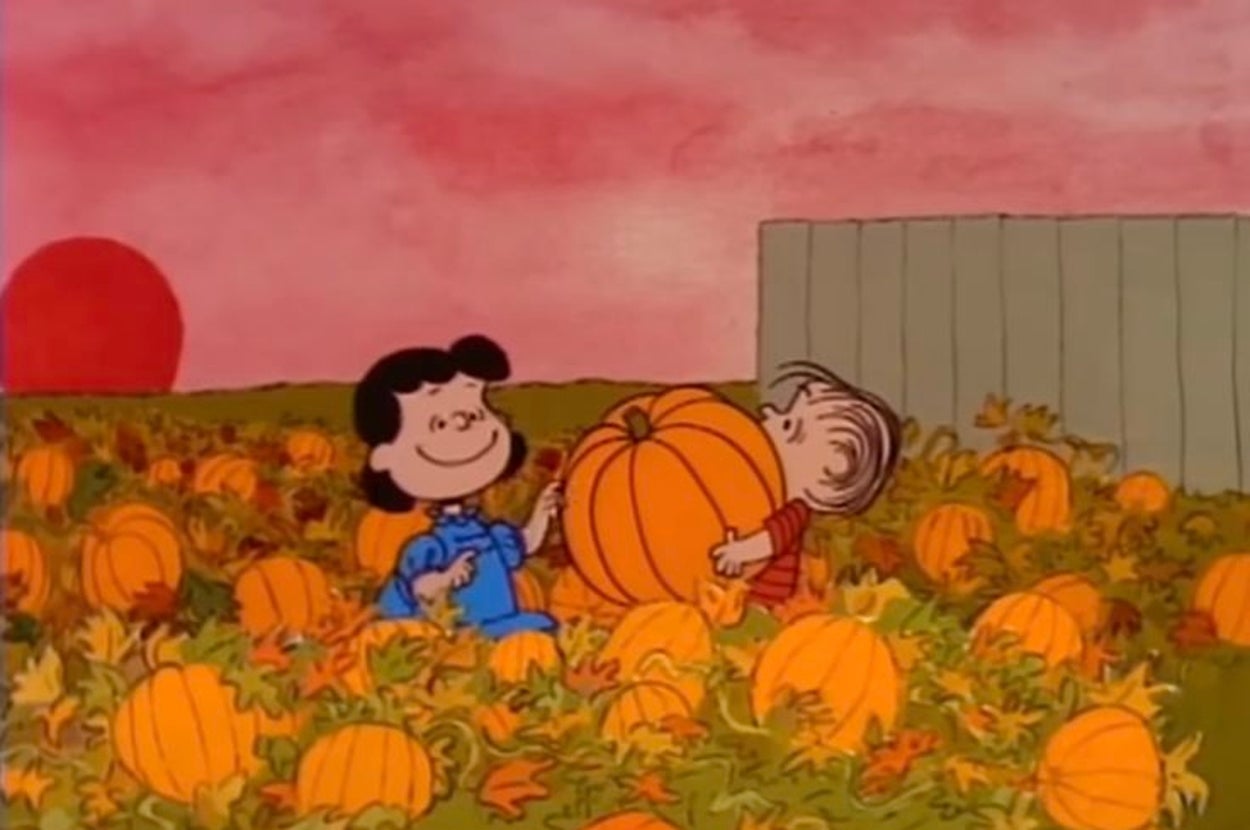 This Autumnal Sensory Quiz Will Reveal If Your Fall Will Be Cozy Or Spooky