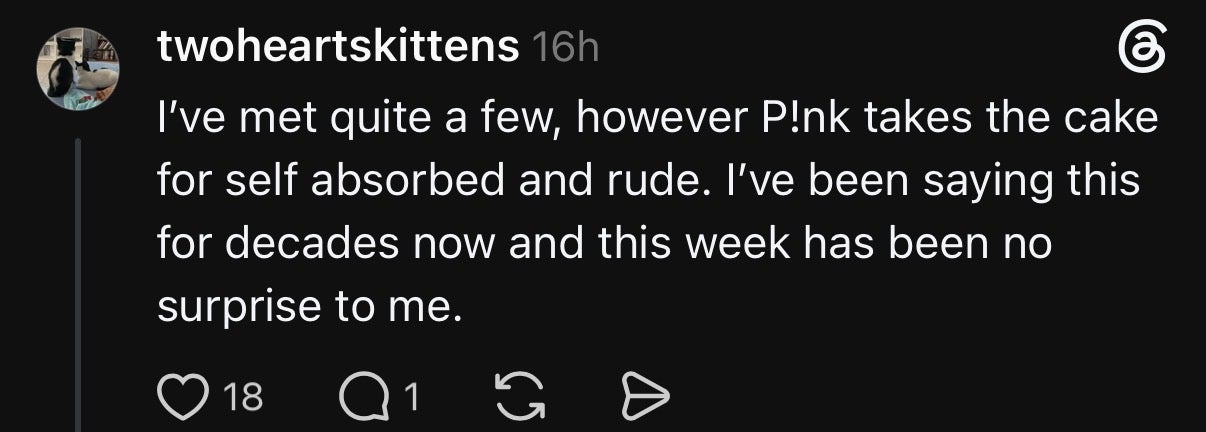 Comment criticizing P!nk for perceived arrogance and rudeness, stating it is unsurprising