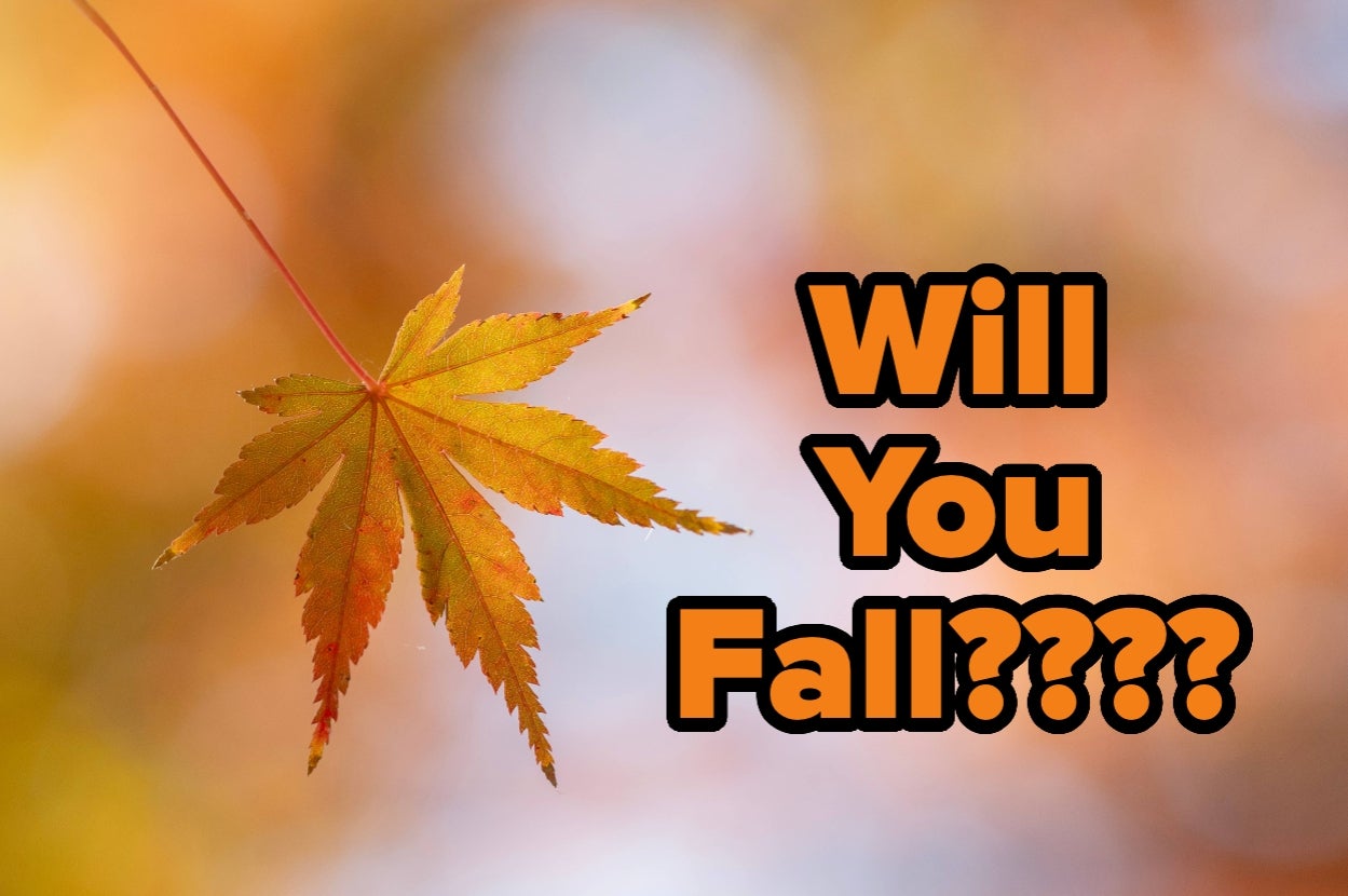 A single autumn leaf hangs with the text overlay "Will You Fall?" in bold letters