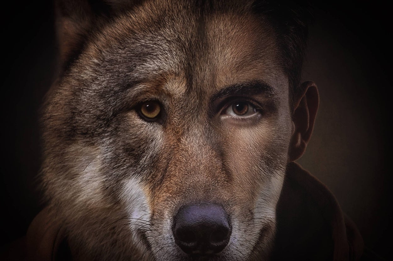Image merging a wolf's face with a human face, showing the duality between animal instincts and human nature