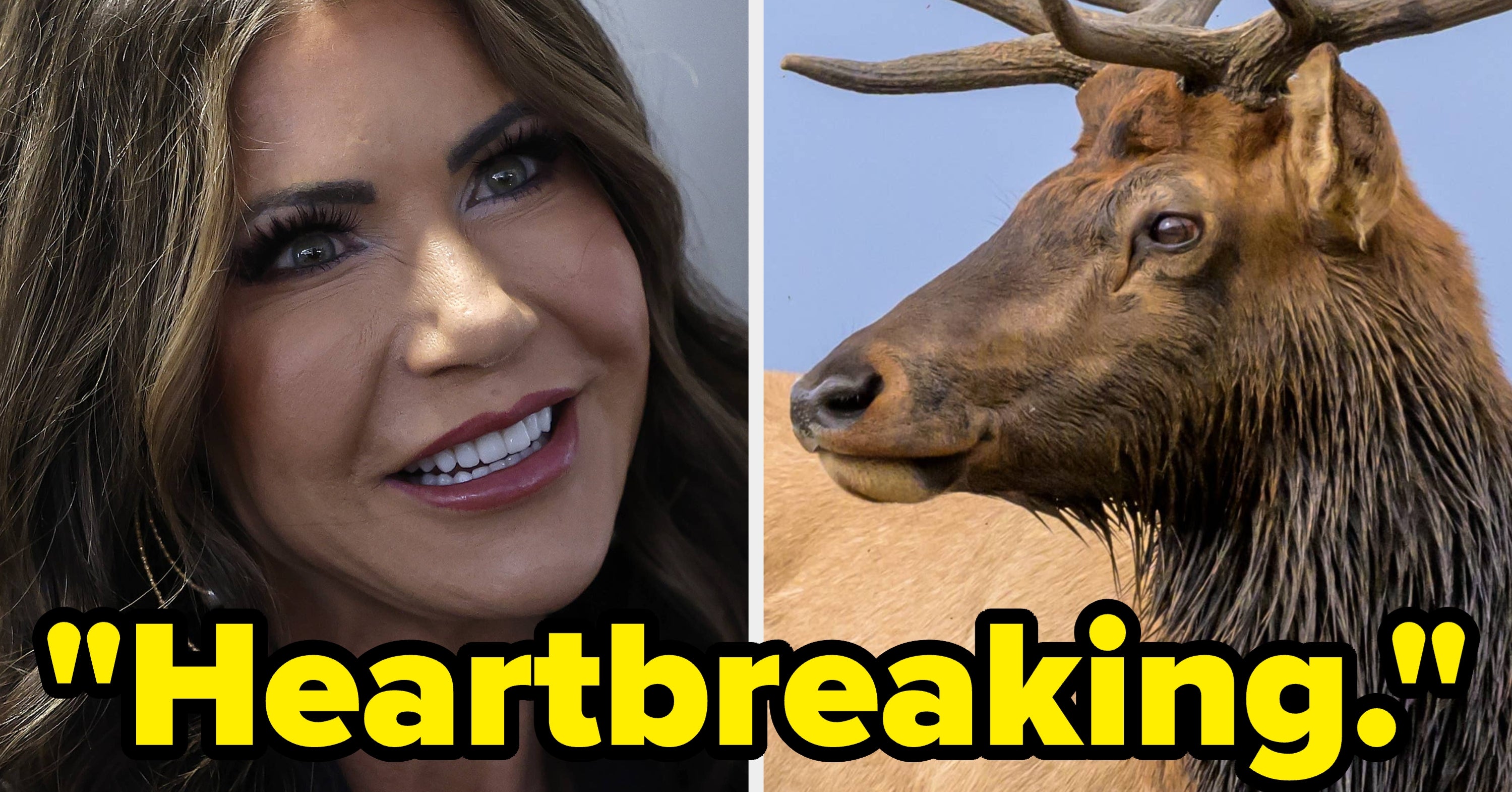 Kristi Noem's Hunting Photos Spark Backlash