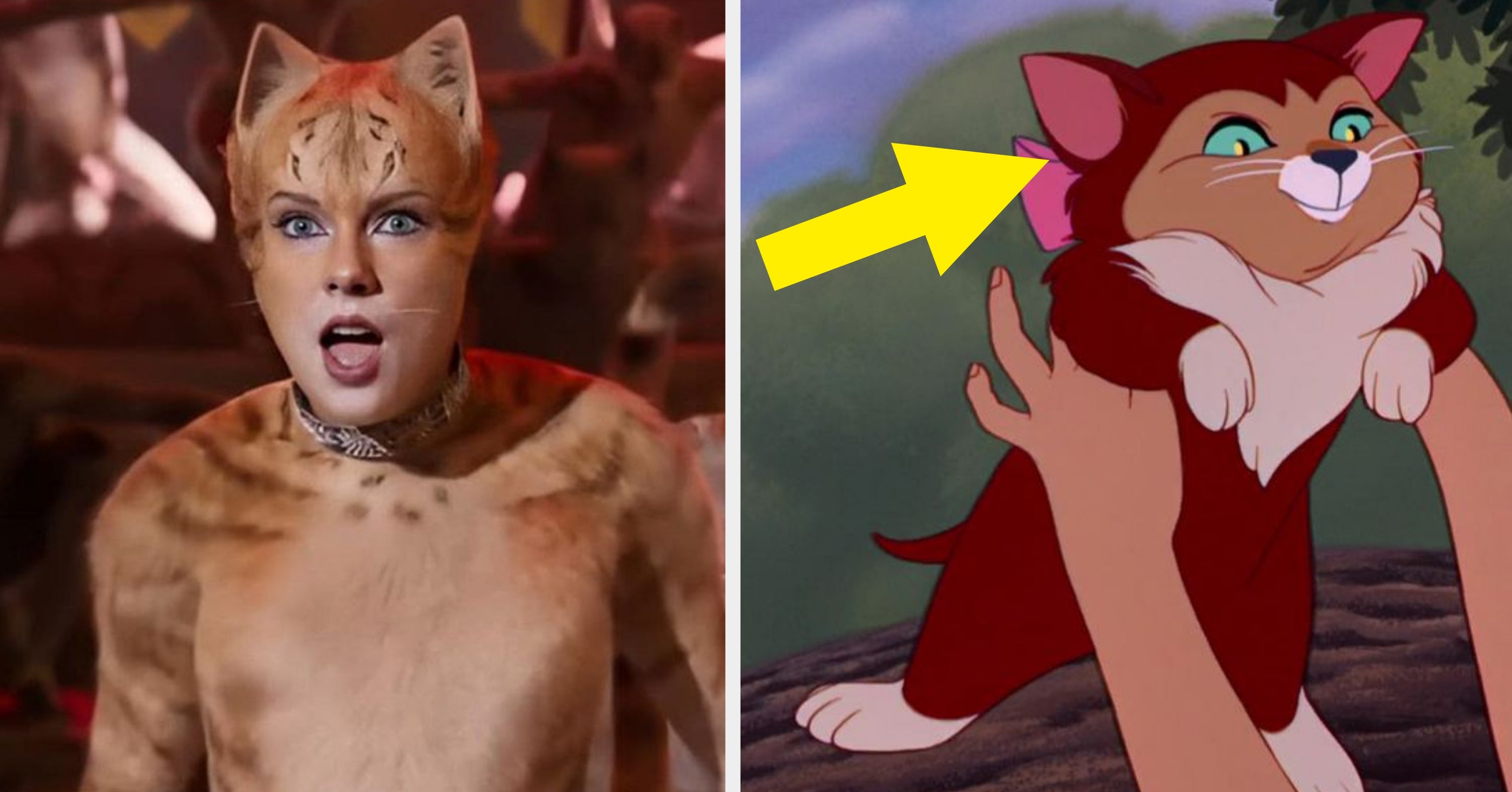 Can You Guess The Movie Based On A Single Screenshot Of The On-Screen Cat?