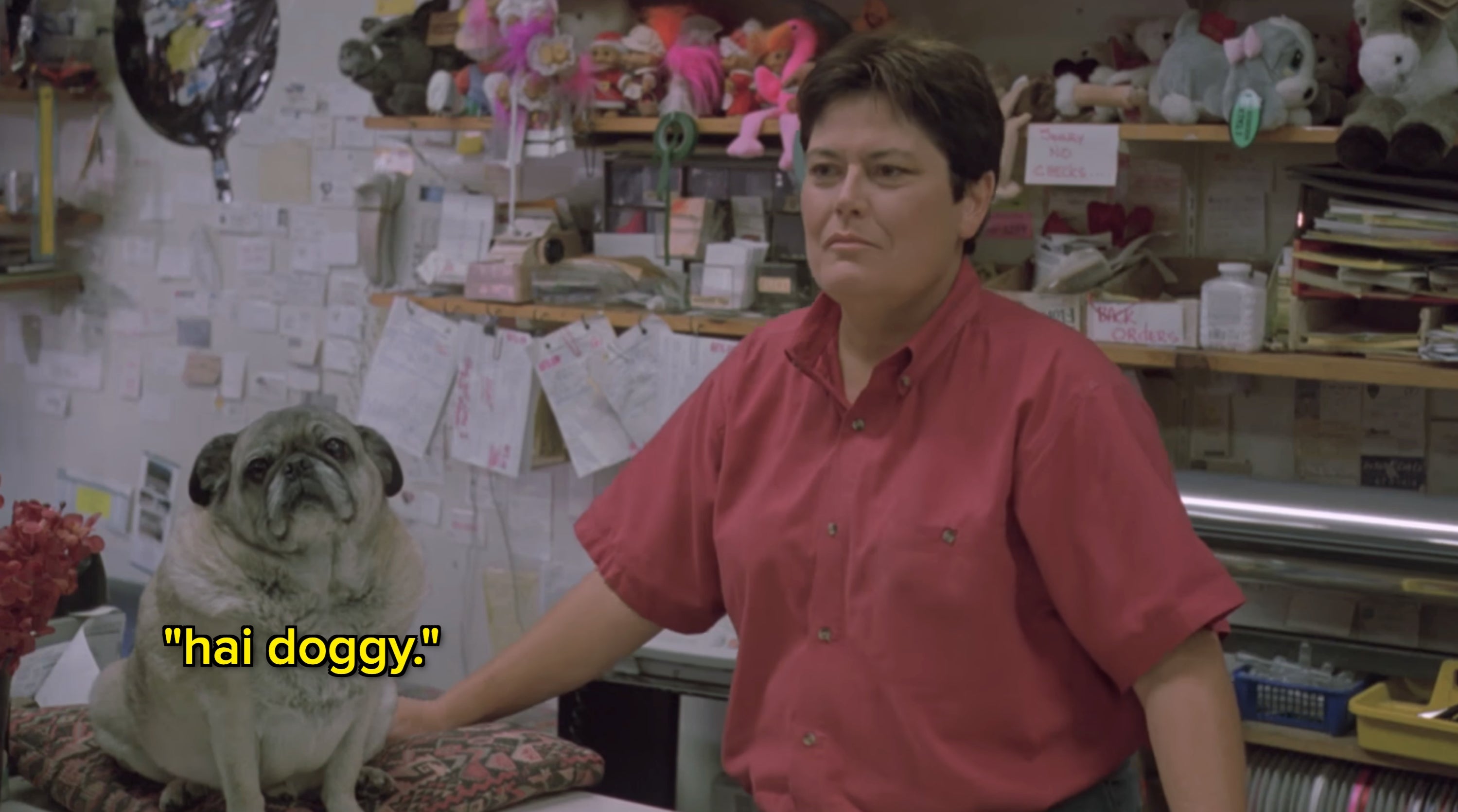 Person in a store next to a pug on a counter, behind them are shelves with stuffed animals and notices