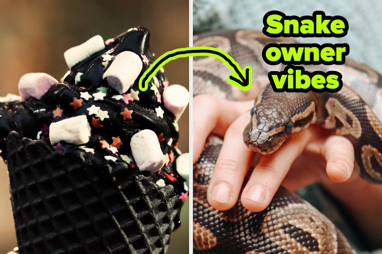 A hand holding a snake is paired with an image of black ice cream topped with marshmallows and stars, with text labeling it as "Snake owner vibes."