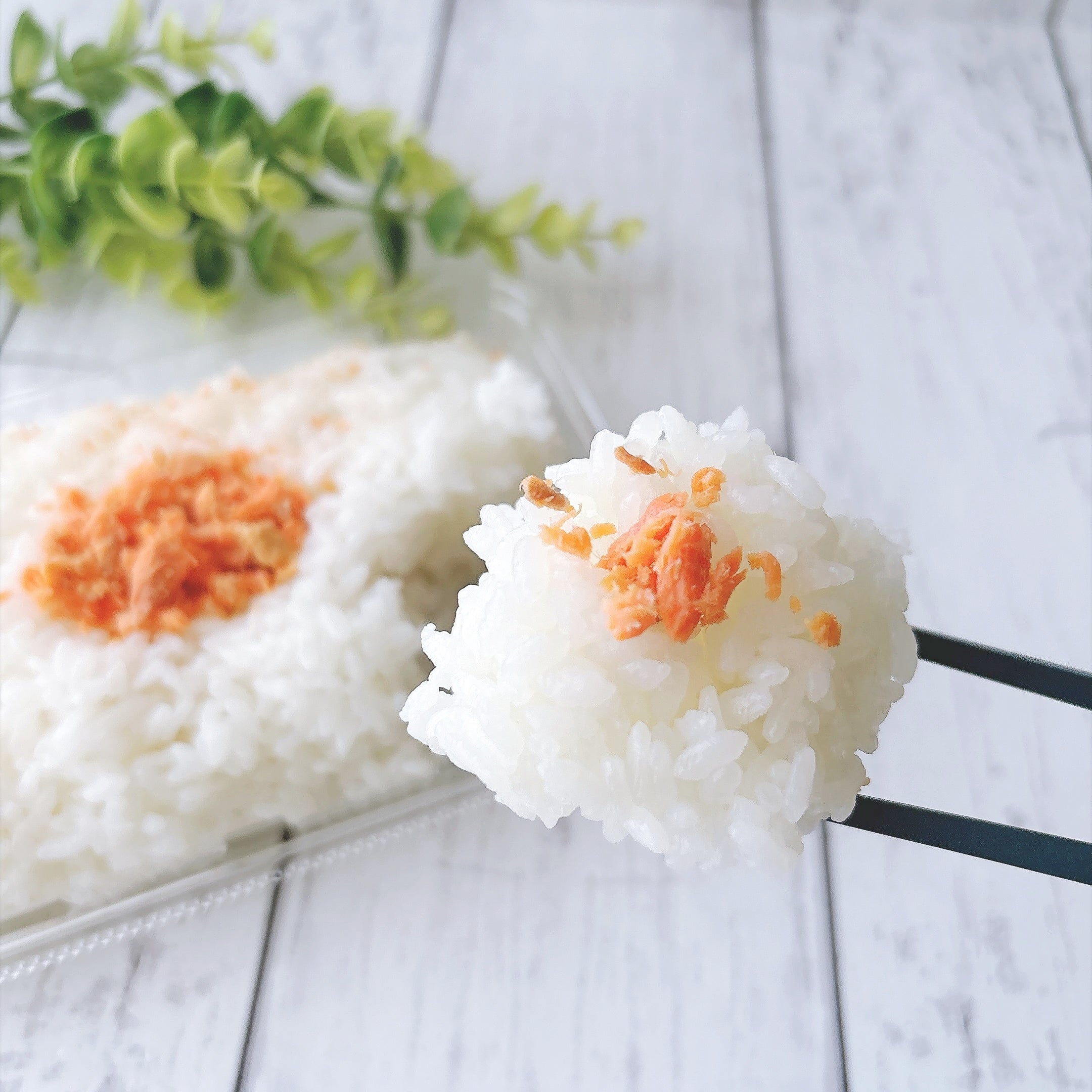 ローソン297円弁当「ごはんがすすむ ぼだっこ（鮭）」の実食レビュー！