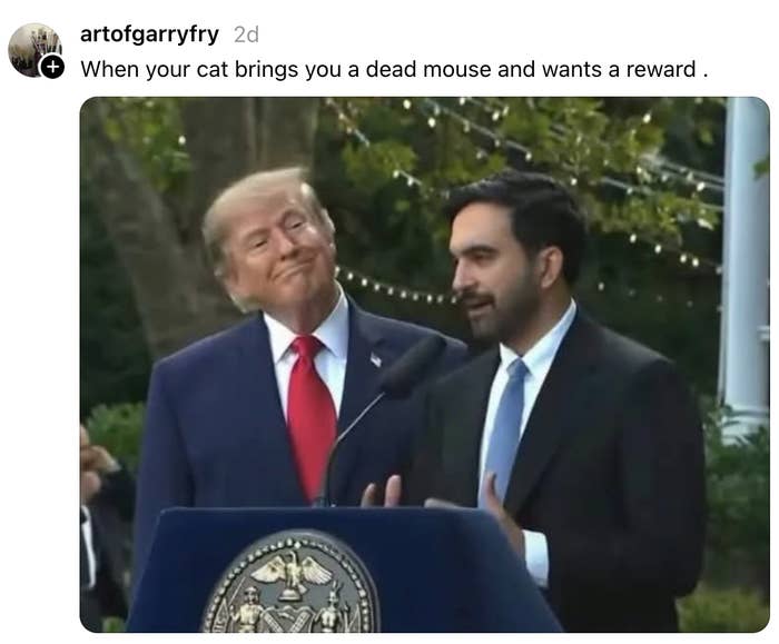 A man speaks at a podium outdoors while another man stands beside him smiling. The image includes a humorous caption about a cat's gift