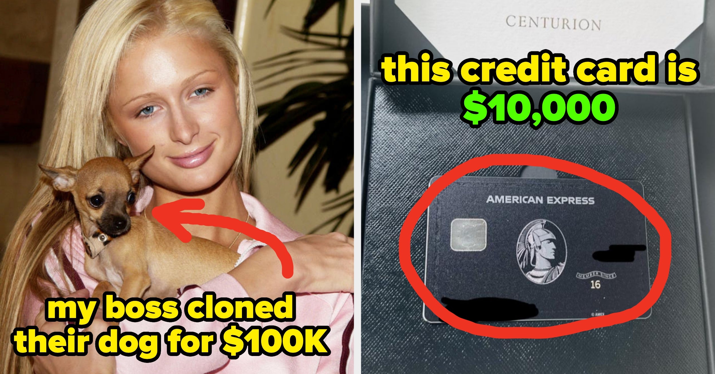 33 Wild Things Only Ultra Rich People Can Buy