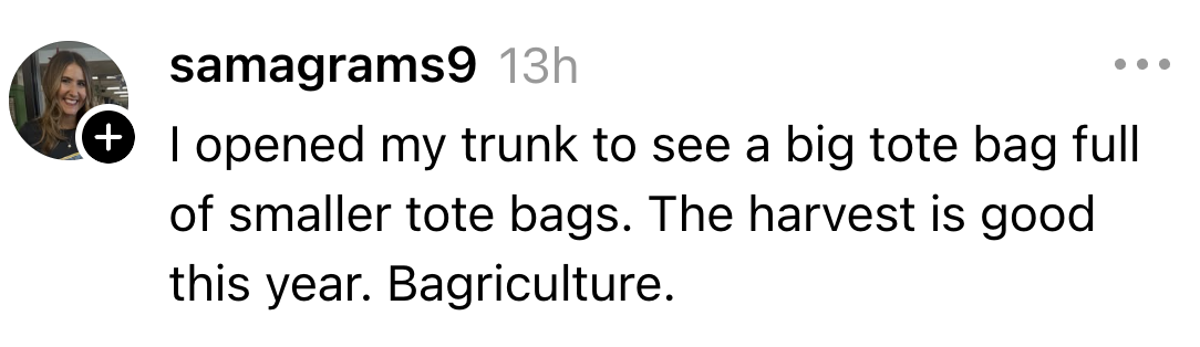 En person beskriver humoristisk å åpne bagasjerommet for å finne en tøyveske fylt med mindre tøyposer, og kaller det spøkefullt "Bagriculture."